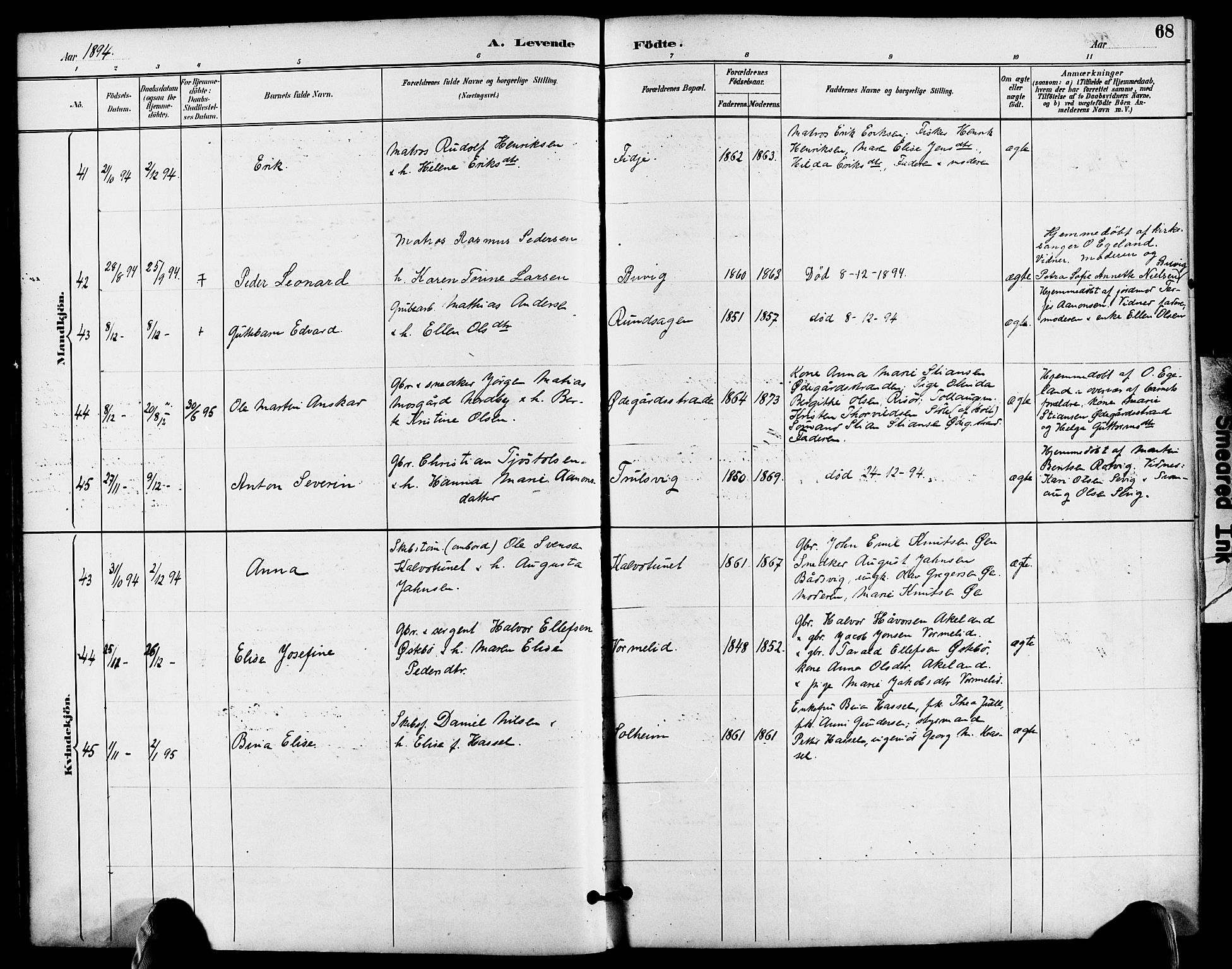 Søndeled sokneprestkontor, AV/SAK-1111-0038/F/Fa/L0005: Parish register (official) no. A 5, 1889-1899, p. 68