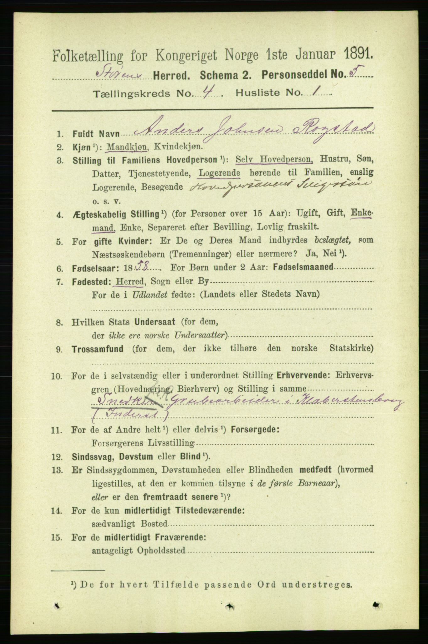 RA, 1891 census for 1648 Støren, 1891, p. 1295