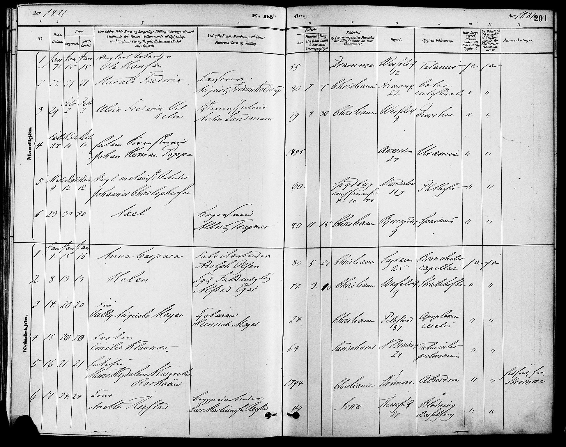 Gamle Aker prestekontor Kirkebøker, SAO/A-10617a/F/L0006: Parish register (official) no. 6, 1880-1887, p. 291
