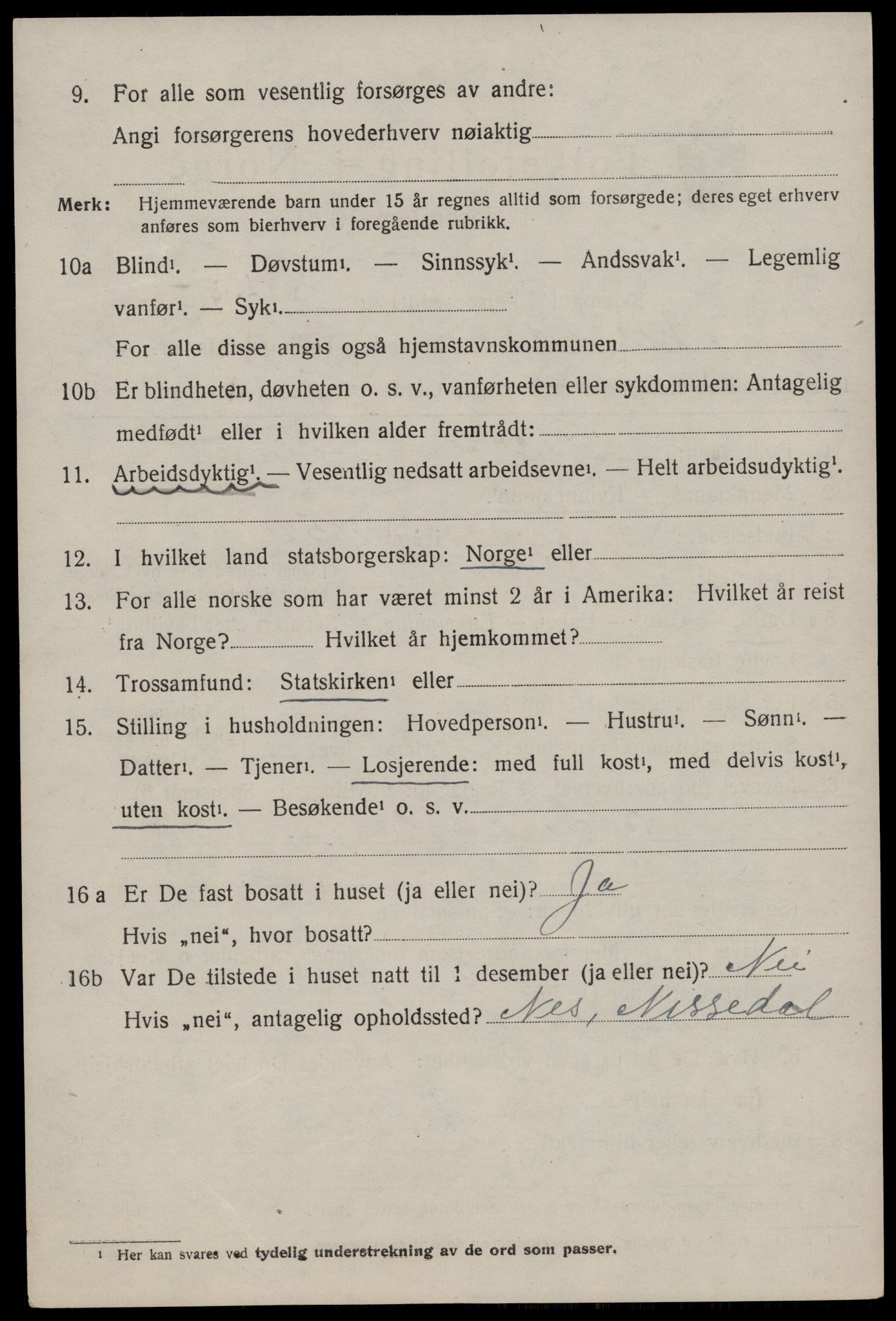 SAKO, 1920 census for Nissedal, 1920, p. 1260