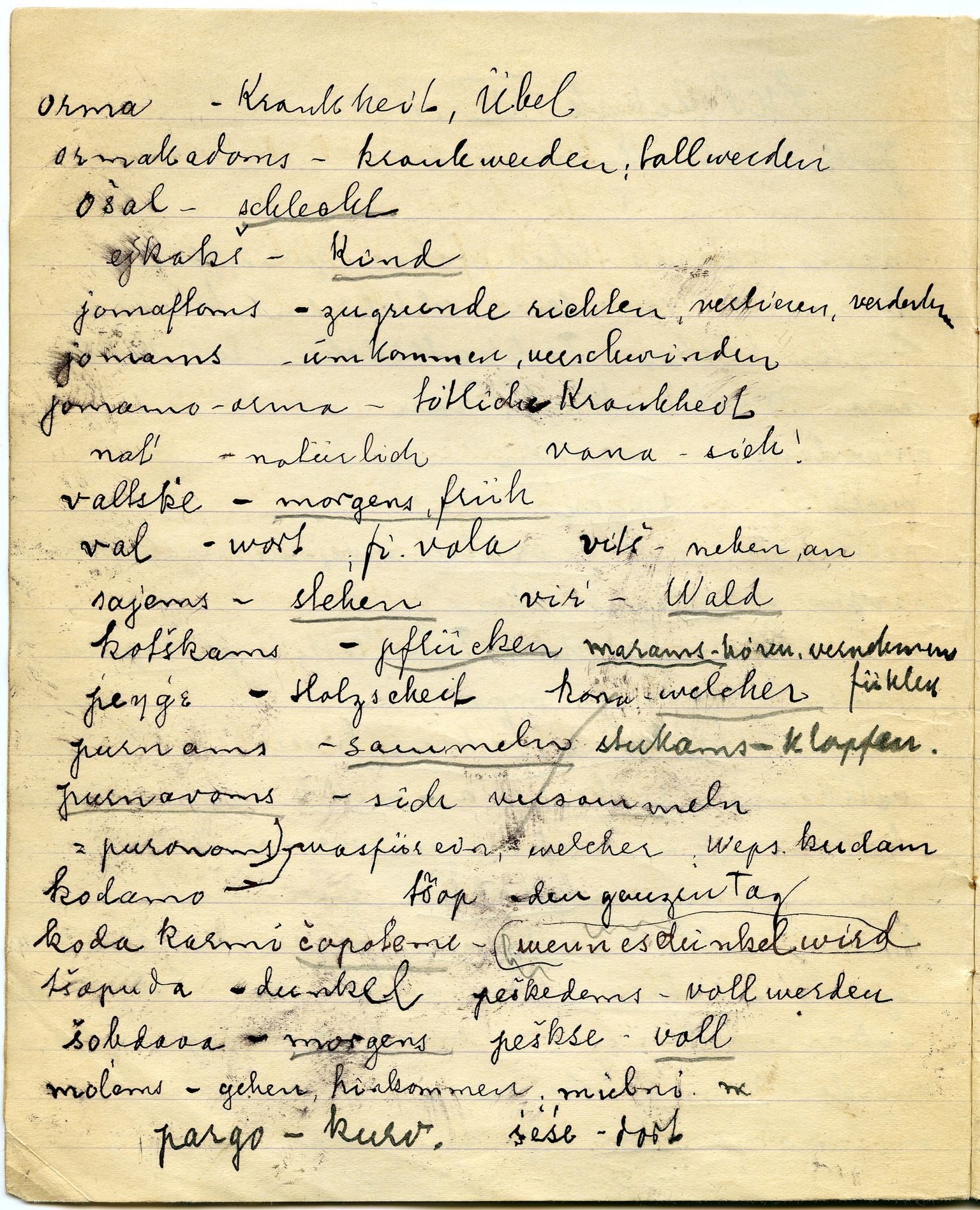 Johan Beronkas testamentariske gave, FMFB/A-1098/G/L0023: Lappiske notatbøker (4 stykker), 1930, p. 5