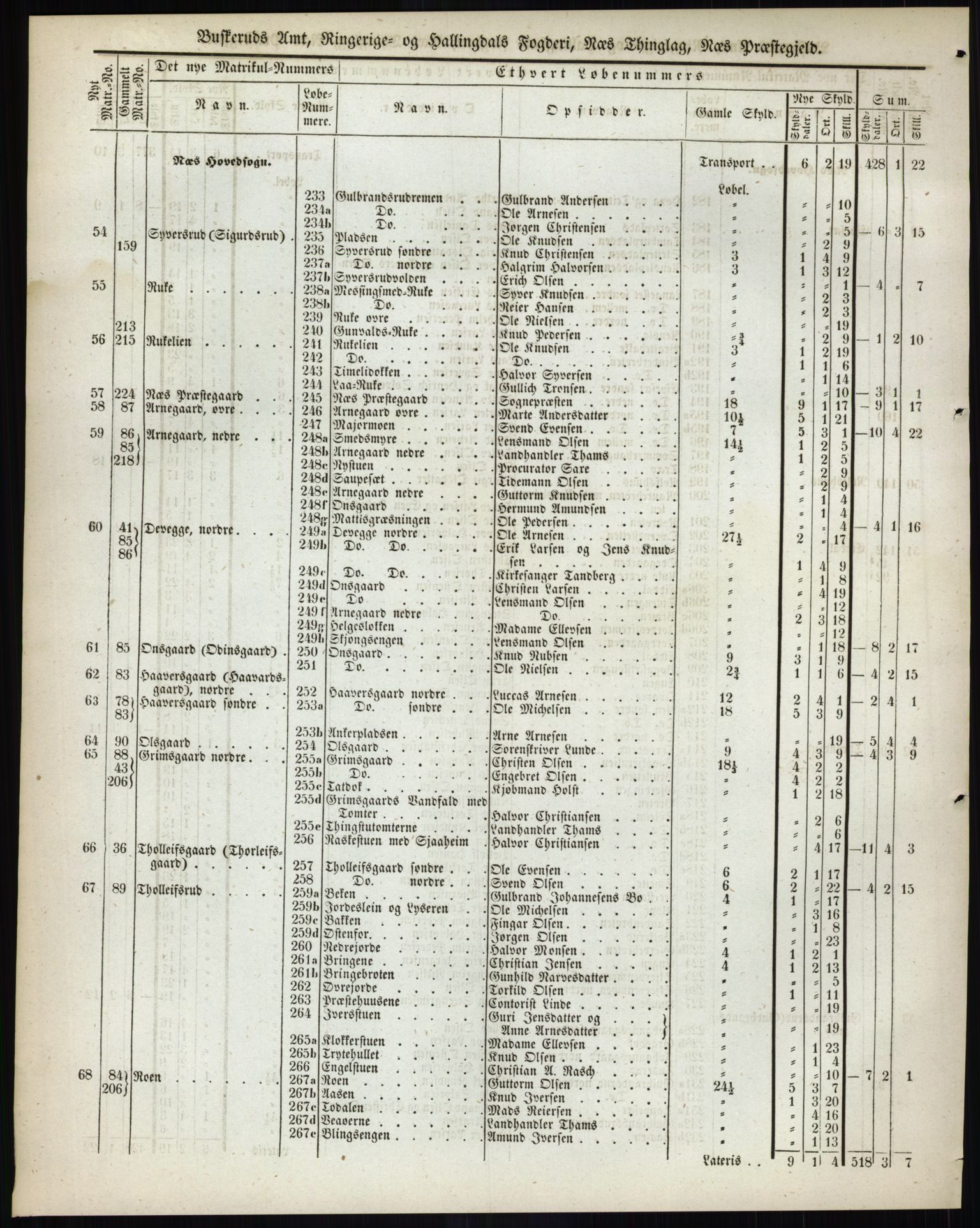 Andre publikasjoner, PUBL/PUBL-999/0002/0005: Bind 5 - Buskerud amt, 1838, p. 29