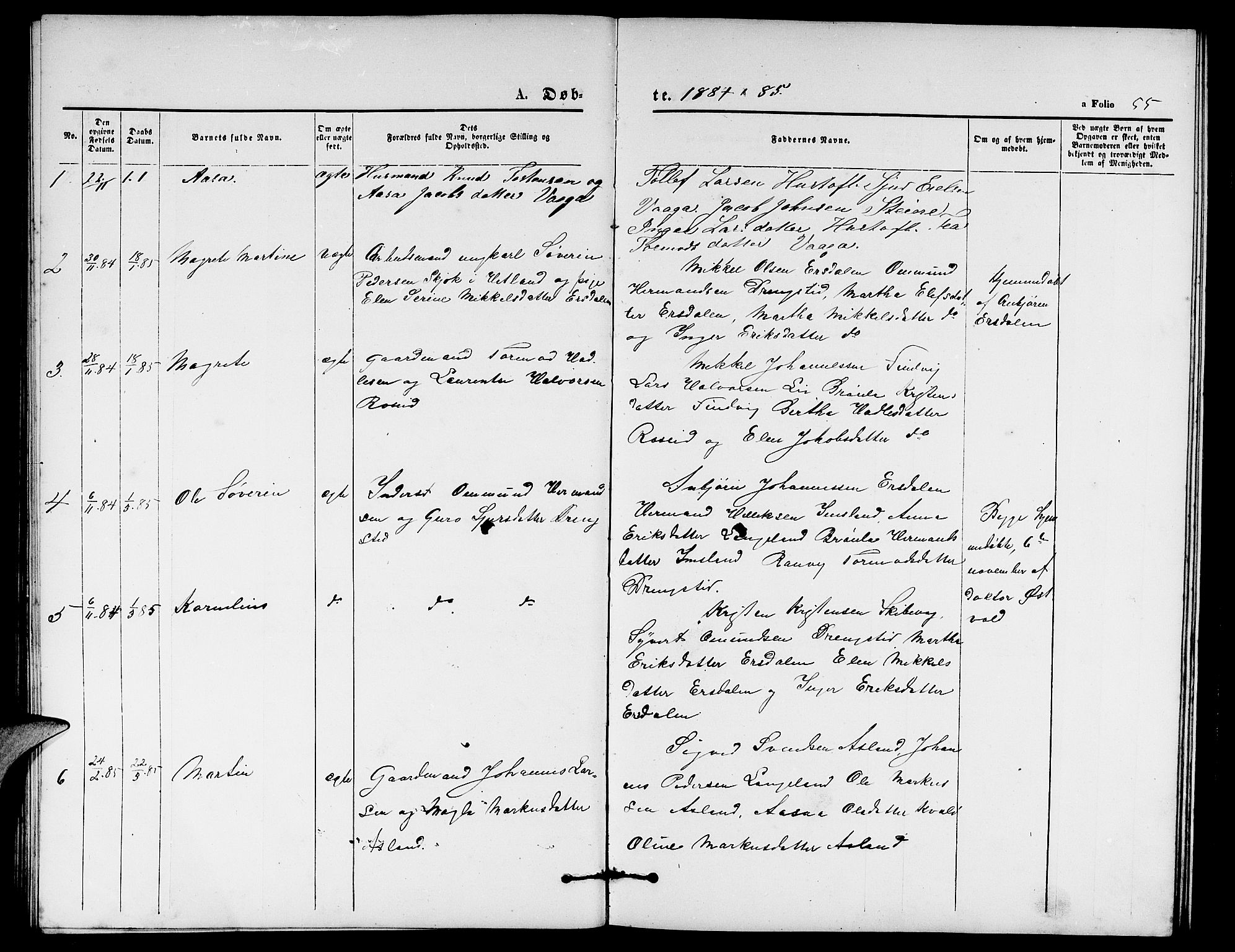 Vikedal sokneprestkontor, SAST/A-101840/01/V: Parish register (copy) no. B 4, 1868-1890, p. 55
