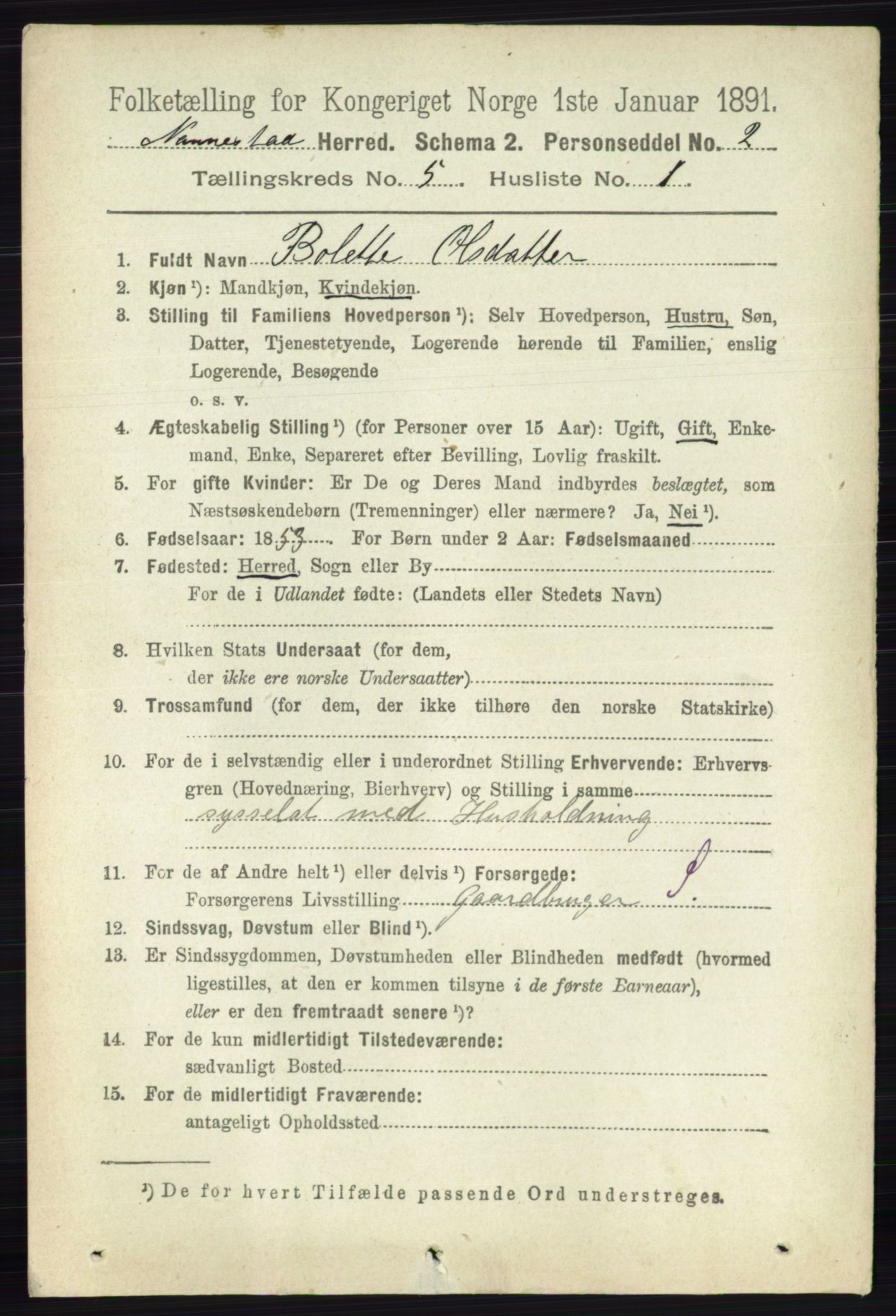 RA, 1891 census for 0238 Nannestad, 1891, p. 2602