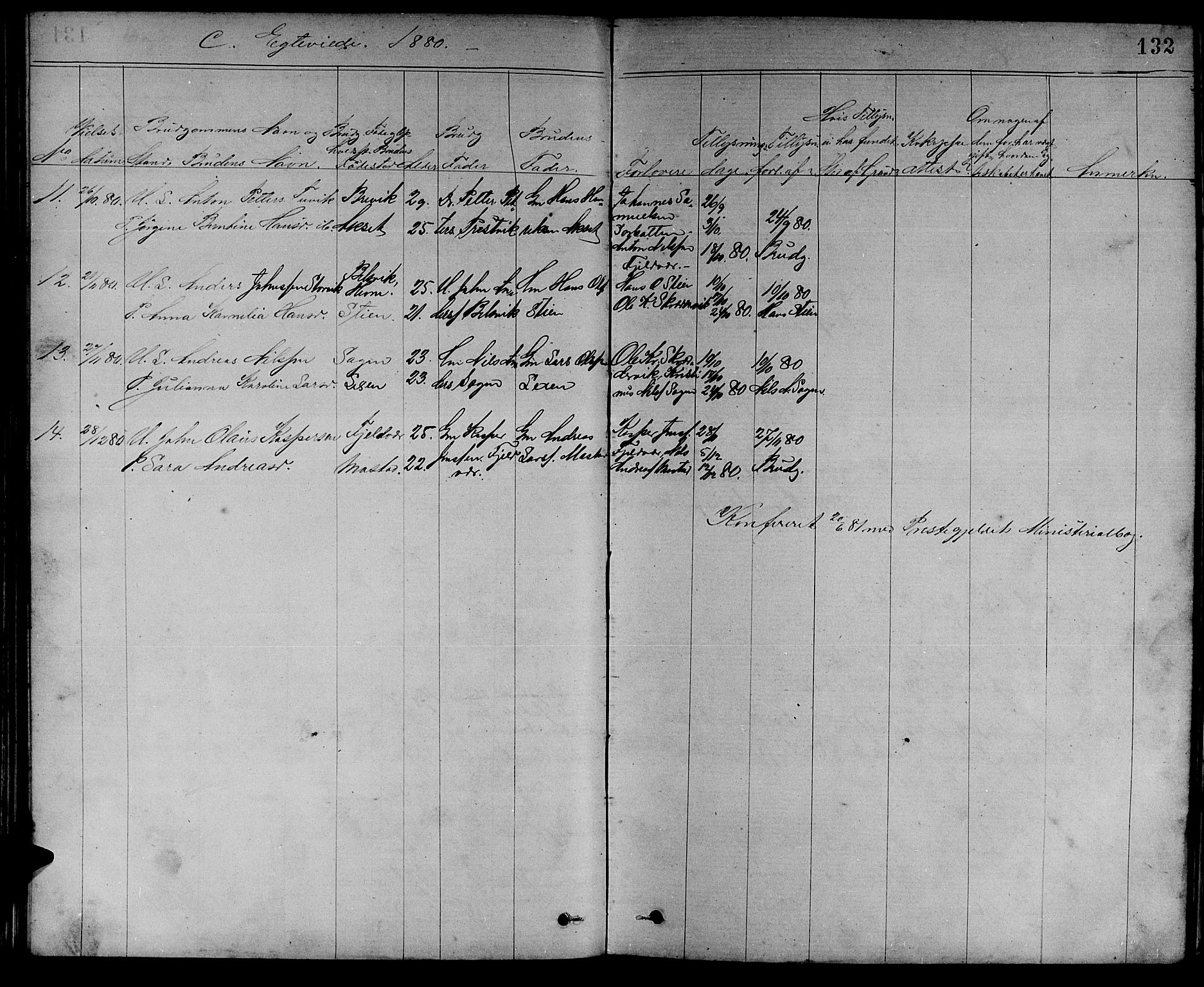 Ministerialprotokoller, klokkerbøker og fødselsregistre - Sør-Trøndelag, AV/SAT-A-1456/637/L0561: Parish register (copy) no. 637C02, 1873-1882, p. 132