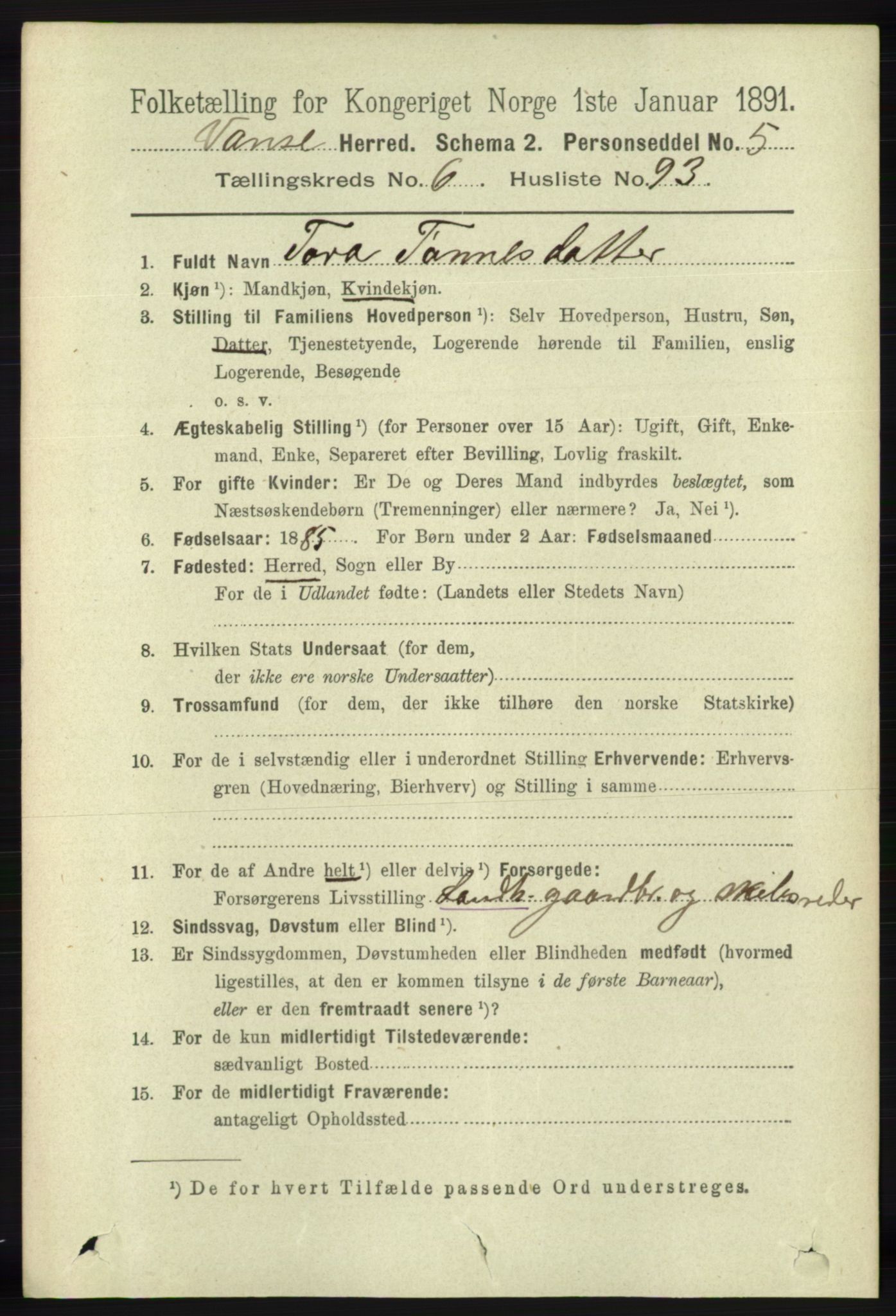 RA, 1891 census for 1041 Vanse, 1891, p. 3932