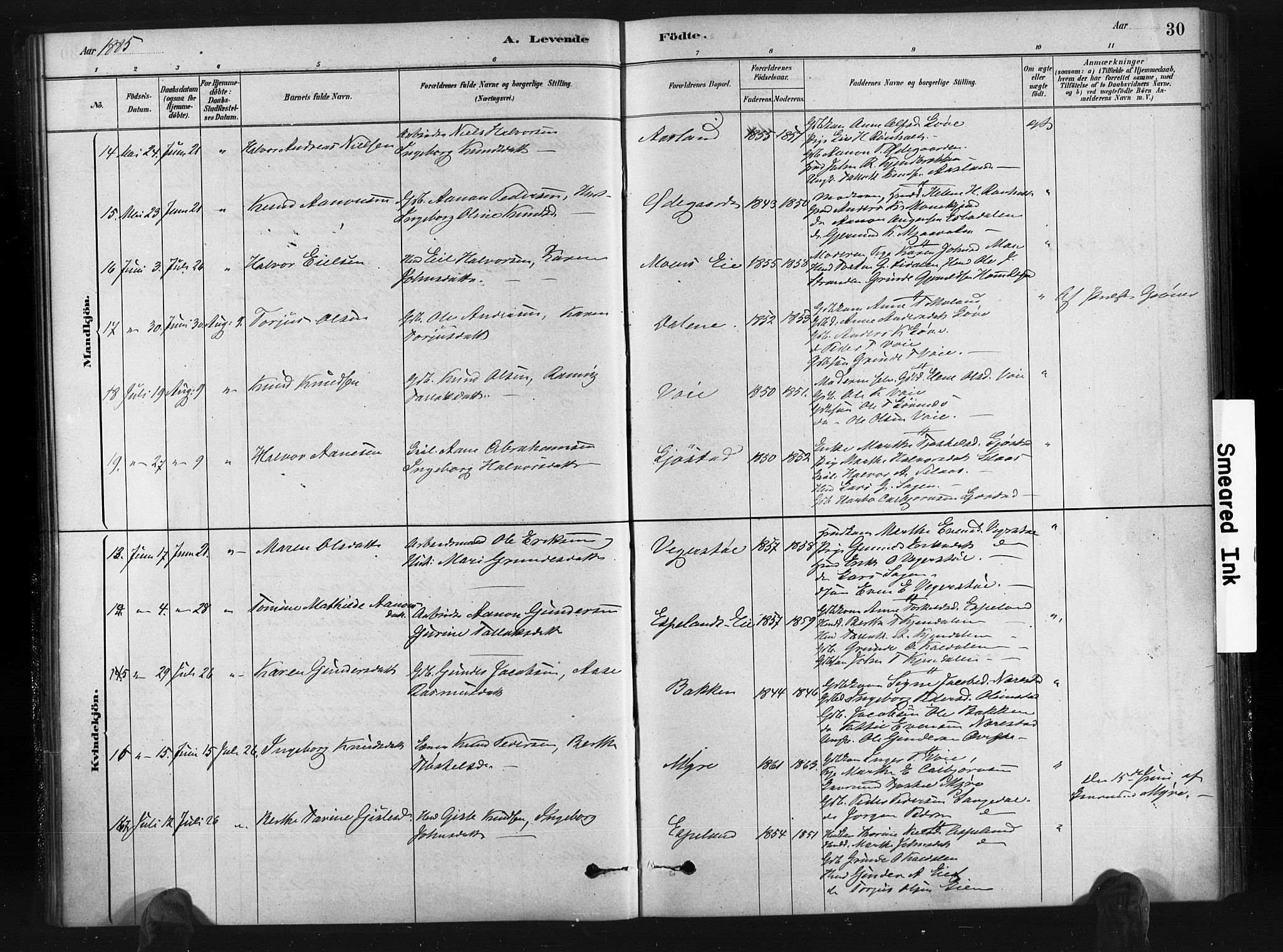 Gjerstad sokneprestkontor, AV/SAK-1111-0014/F/Fa/Fab/L0004: Parish register (official) no. A 4, 1879-1890, p. 30