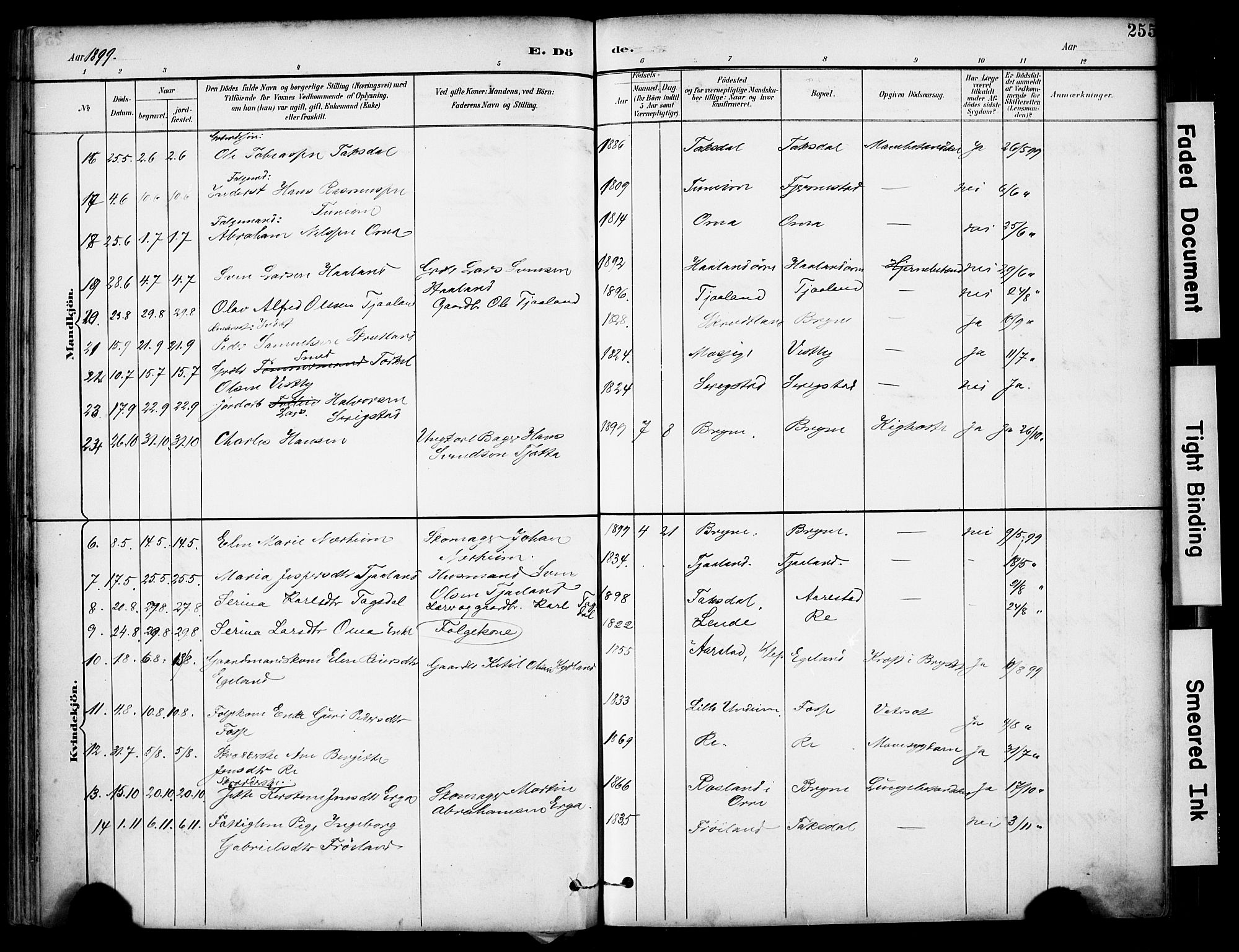 Lye sokneprestkontor, AV/SAST-A-101794/001/30BA/L0011: Parish register (official) no. A 9, 1893-1903, p. 255