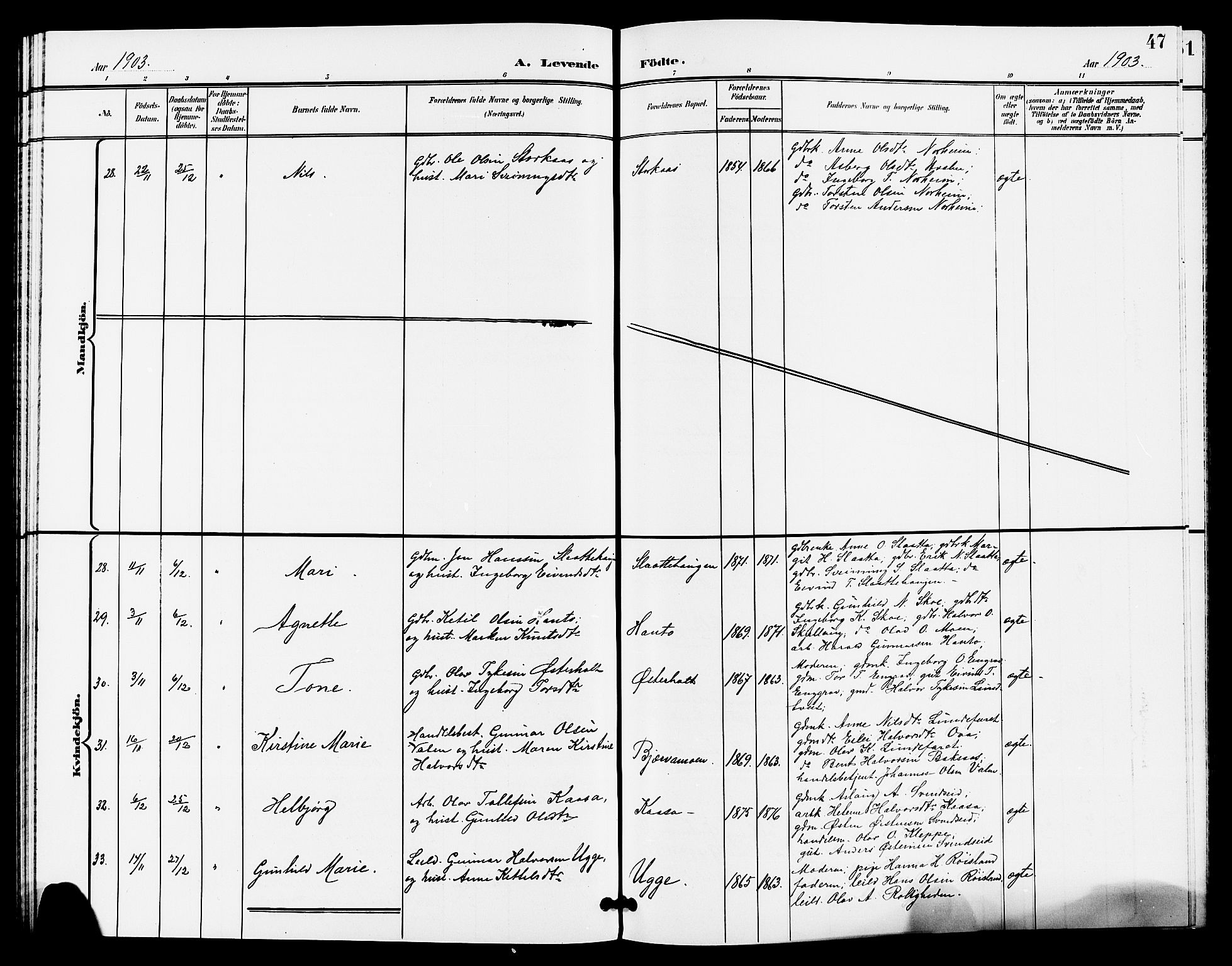 Lunde kirkebøker, SAKO/A-282/G/Ga/L0003: Parish register (copy) no. I 3, 1896-1905, p. 47