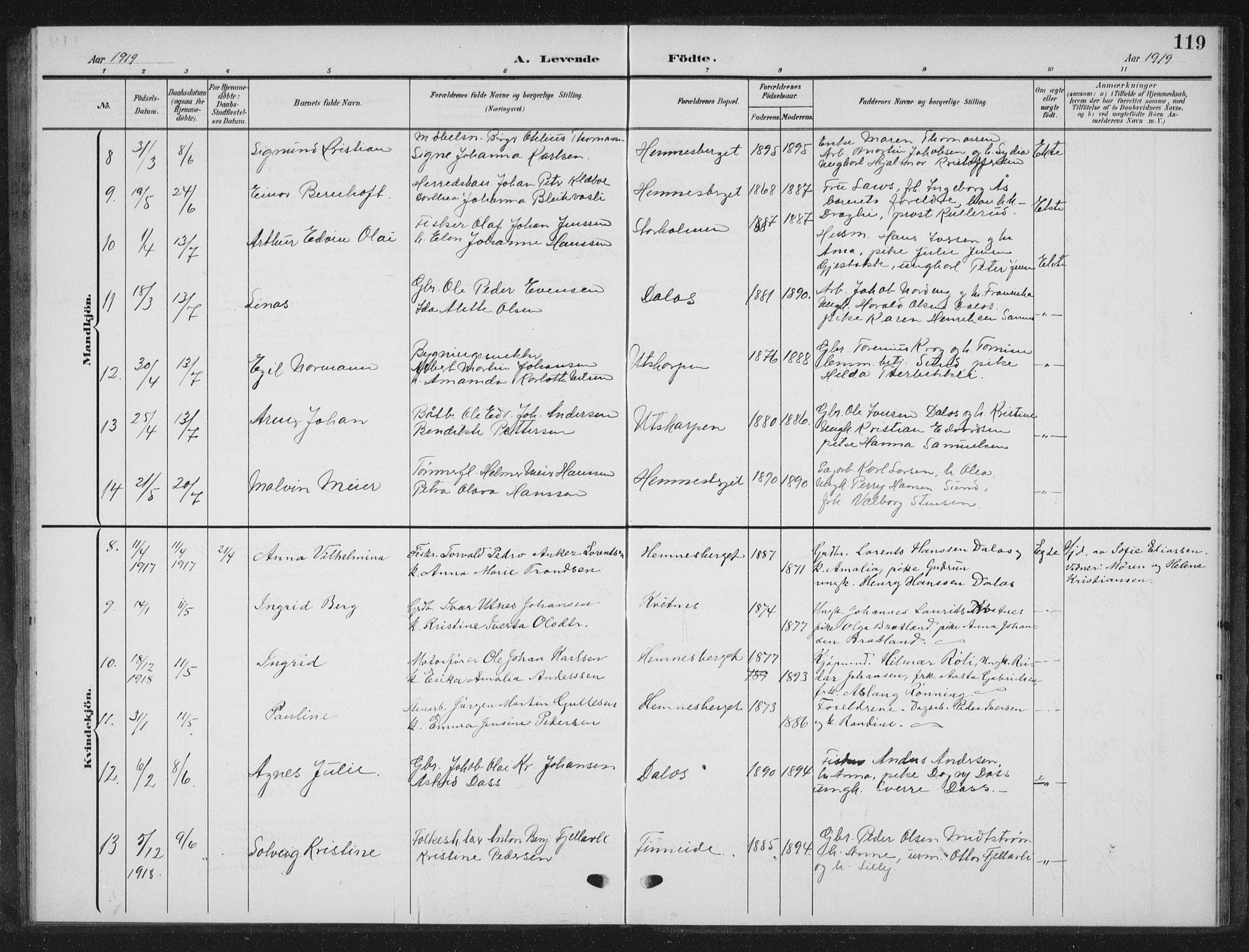 Ministerialprotokoller, klokkerbøker og fødselsregistre - Nordland, AV/SAT-A-1459/825/L0370: Parish register (copy) no. 825C07, 1903-1923, p. 119