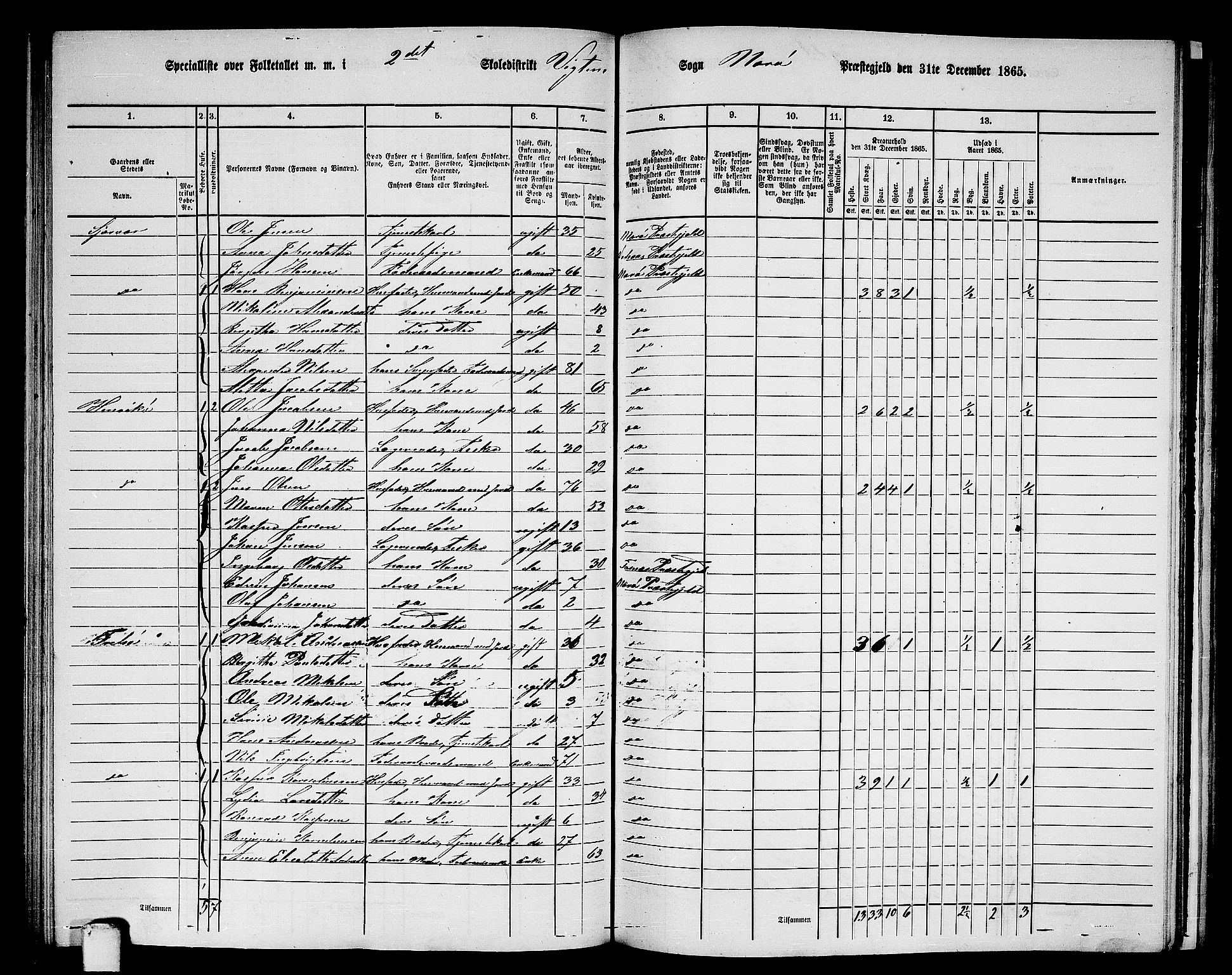 RA, 1865 census for Nærøy, 1865, p. 122