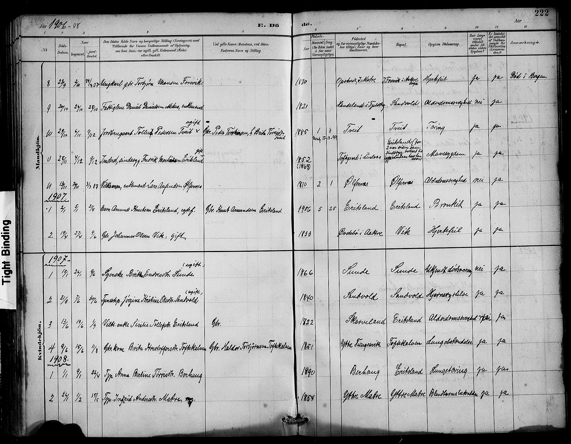 Husnes Sokneprestembete, SAB/A-75901/H/Hab: Parish register (copy) no. B 2, 1884-1914, p. 222
