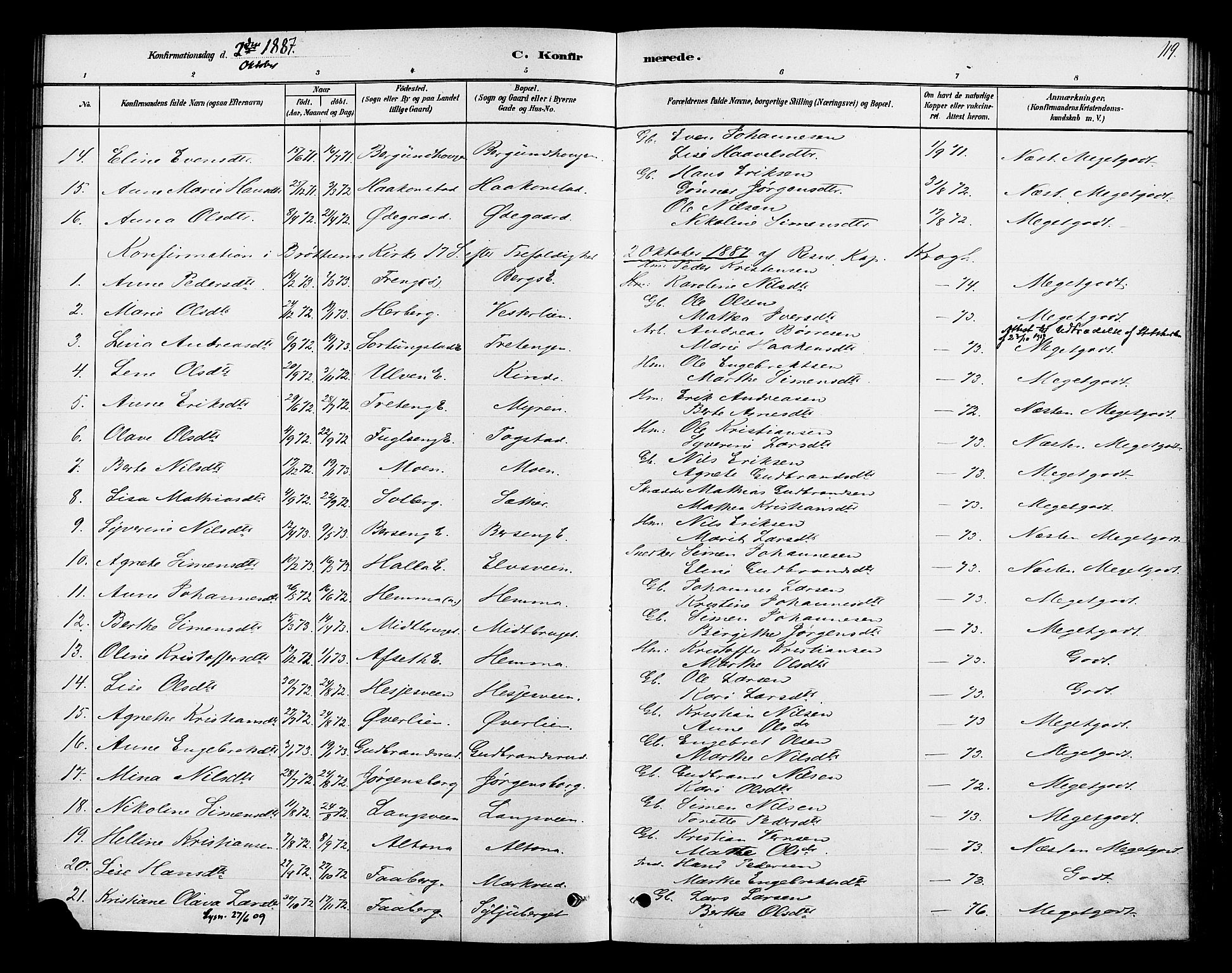 Ringsaker prestekontor, AV/SAH-PREST-014/K/Ka/L0013: Parish register (official) no. 13, 1879-1890, p. 119