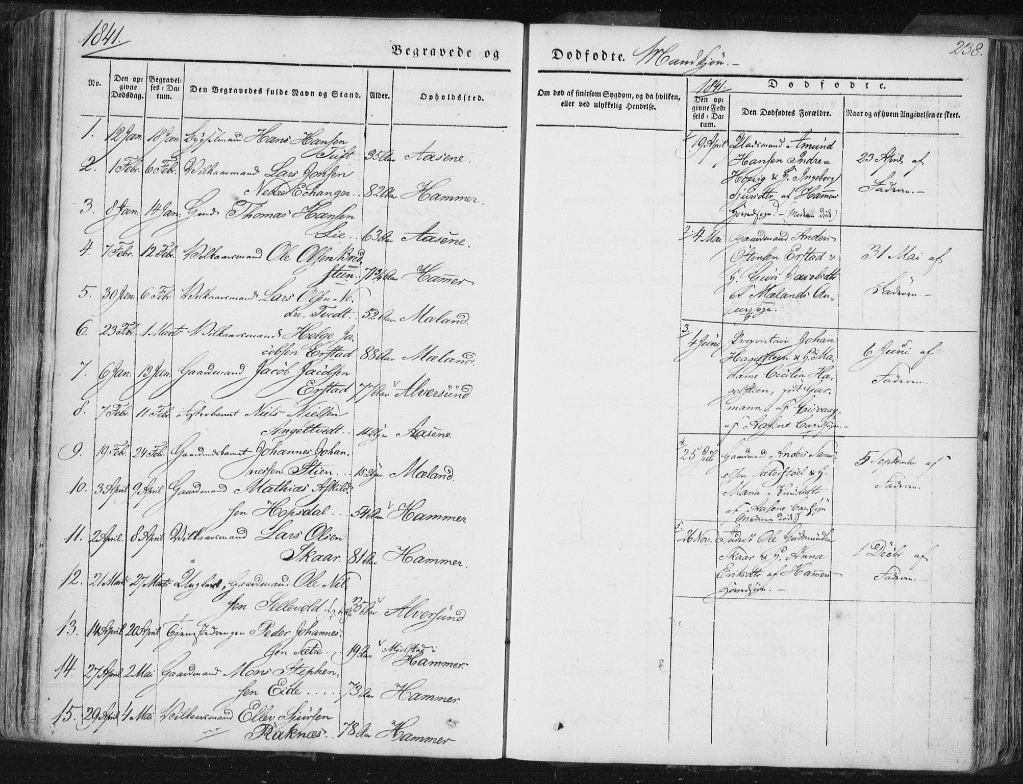 Hamre sokneprestembete, SAB/A-75501/H/Ha/Haa/Haaa/L0012: Parish register (official) no. A 12, 1834-1845, p. 238