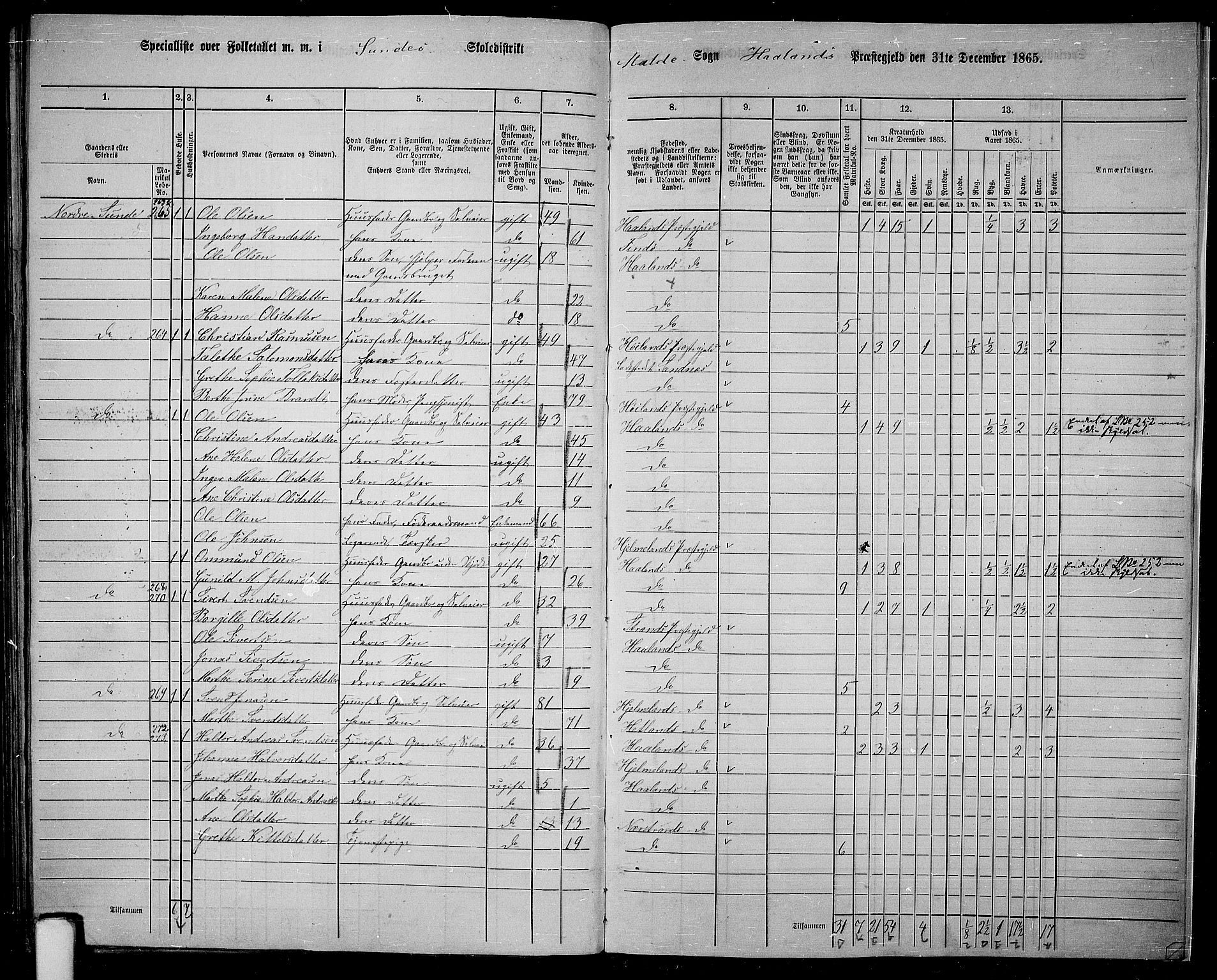 RA, 1865 census for Håland, 1865, p. 120