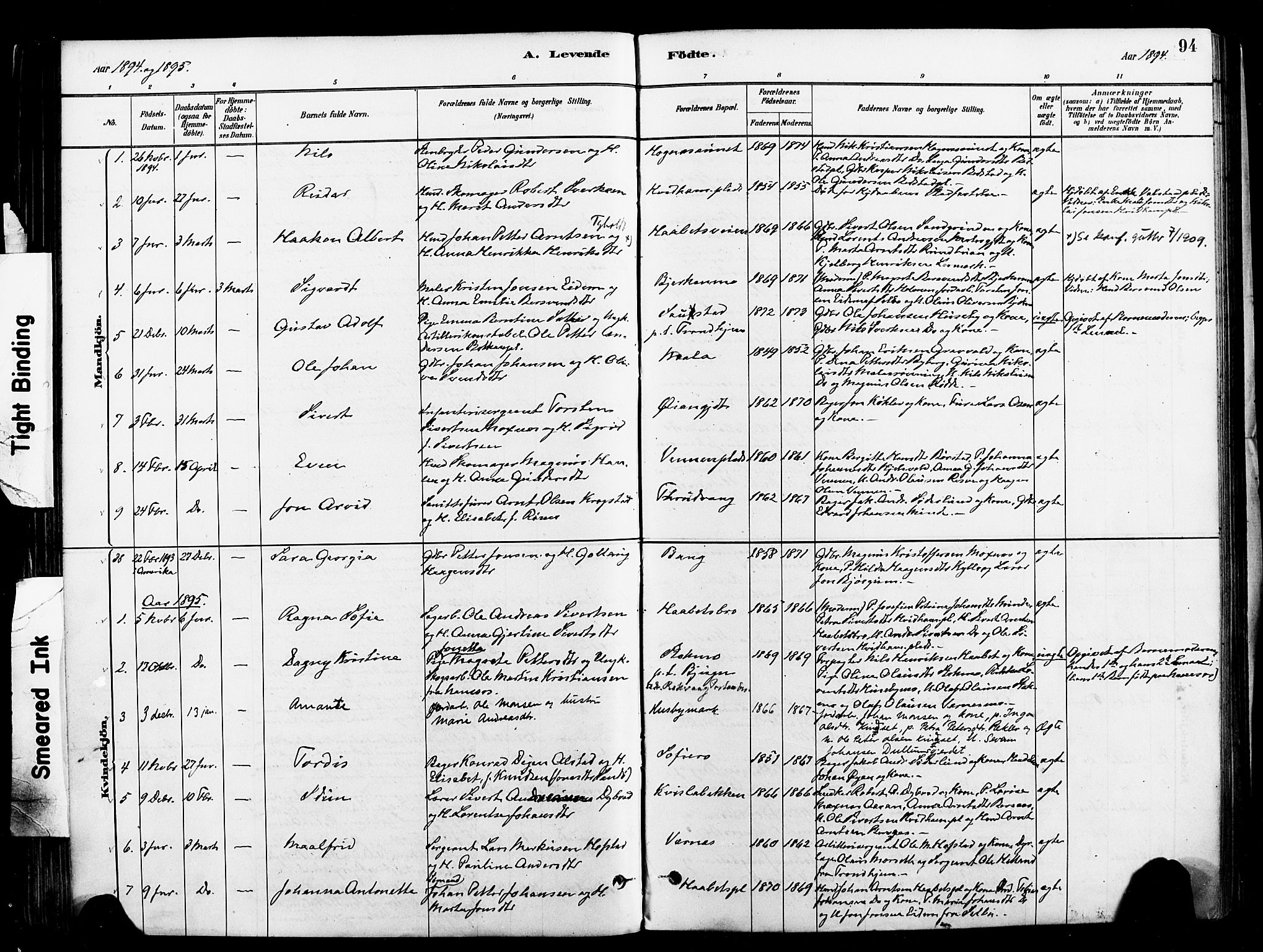 Ministerialprotokoller, klokkerbøker og fødselsregistre - Nord-Trøndelag, SAT/A-1458/709/L0077: Parish register (official) no. 709A17, 1880-1895, p. 94