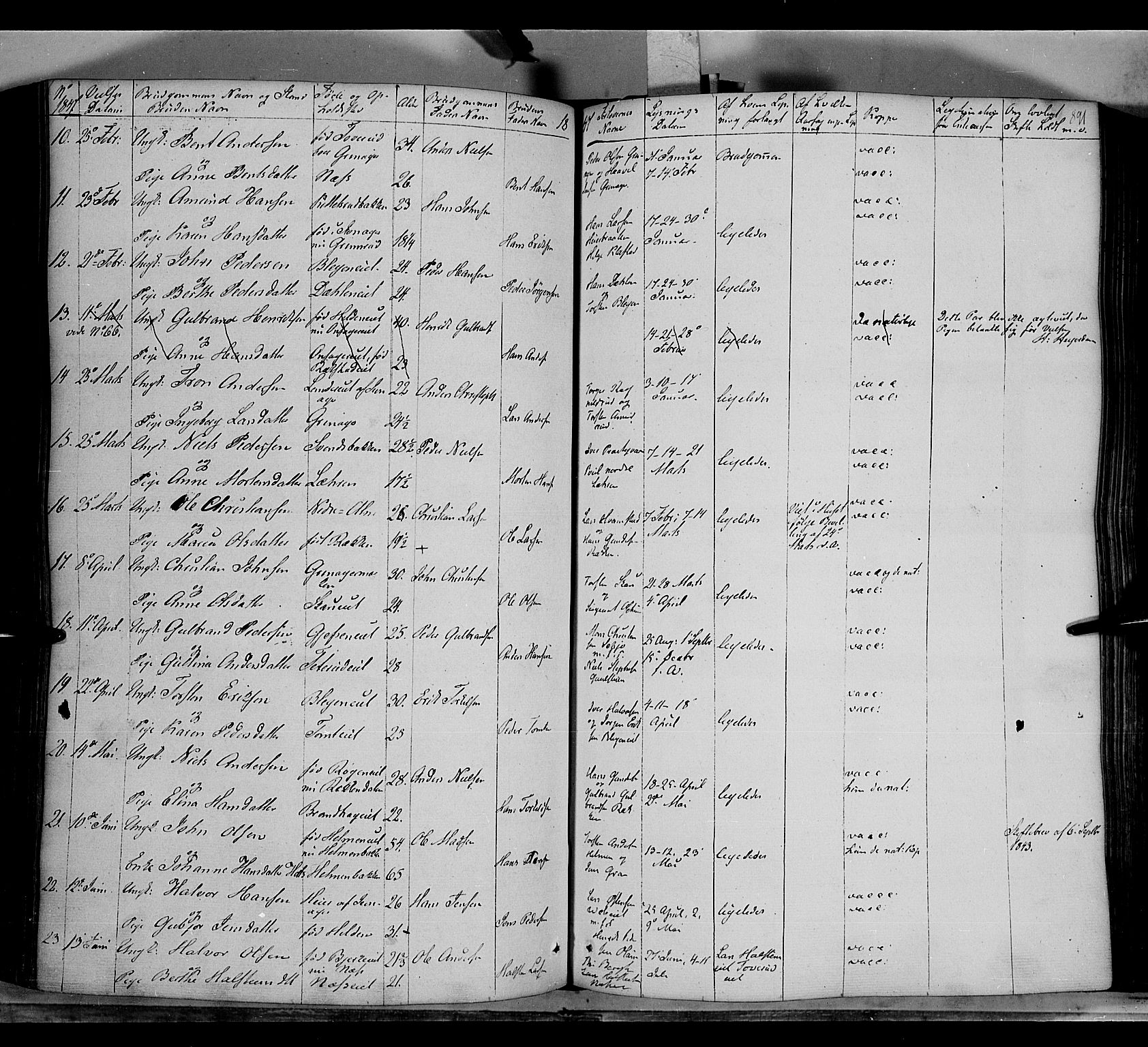 Gran prestekontor, SAH/PREST-112/H/Ha/Haa/L0011: Parish register (official) no. 11, 1842-1856, p. 890-891