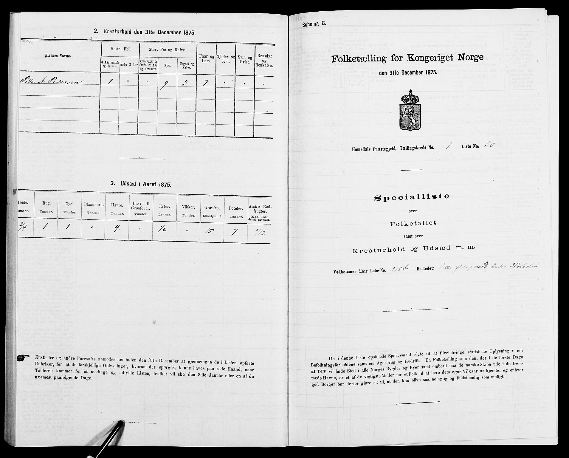 SAK, 1875 census for 0924P Homedal, 1875, p. 118