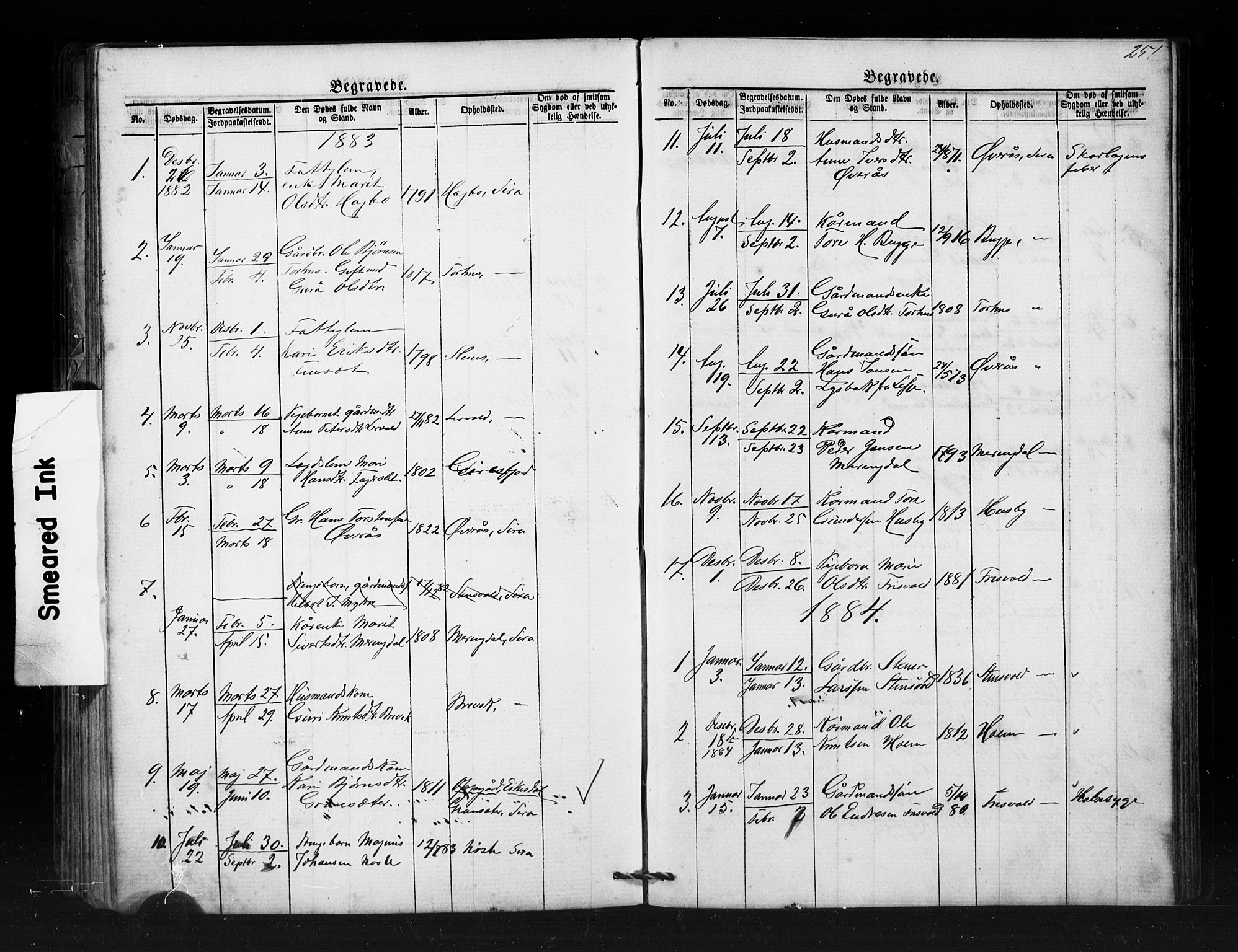 Ministerialprotokoller, klokkerbøker og fødselsregistre - Møre og Romsdal, SAT/A-1454/552/L0638: Parish register (copy) no. 552C01, 1867-1902, p. 251