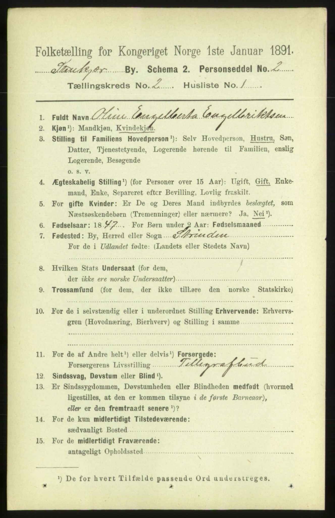 RA, 1891 census for 1702 Steinkjer, 1891, p. 360