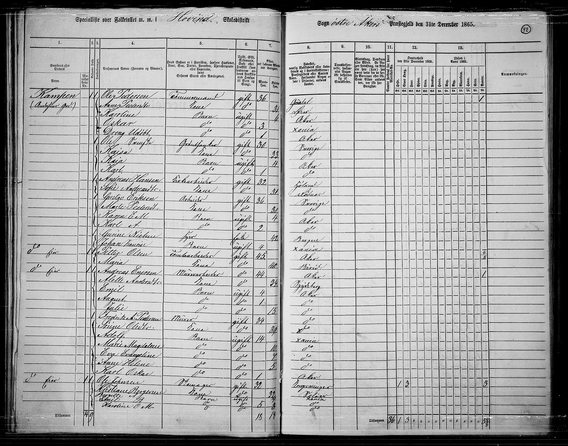 RA, 1865 census for Østre Aker, 1865, p. 266