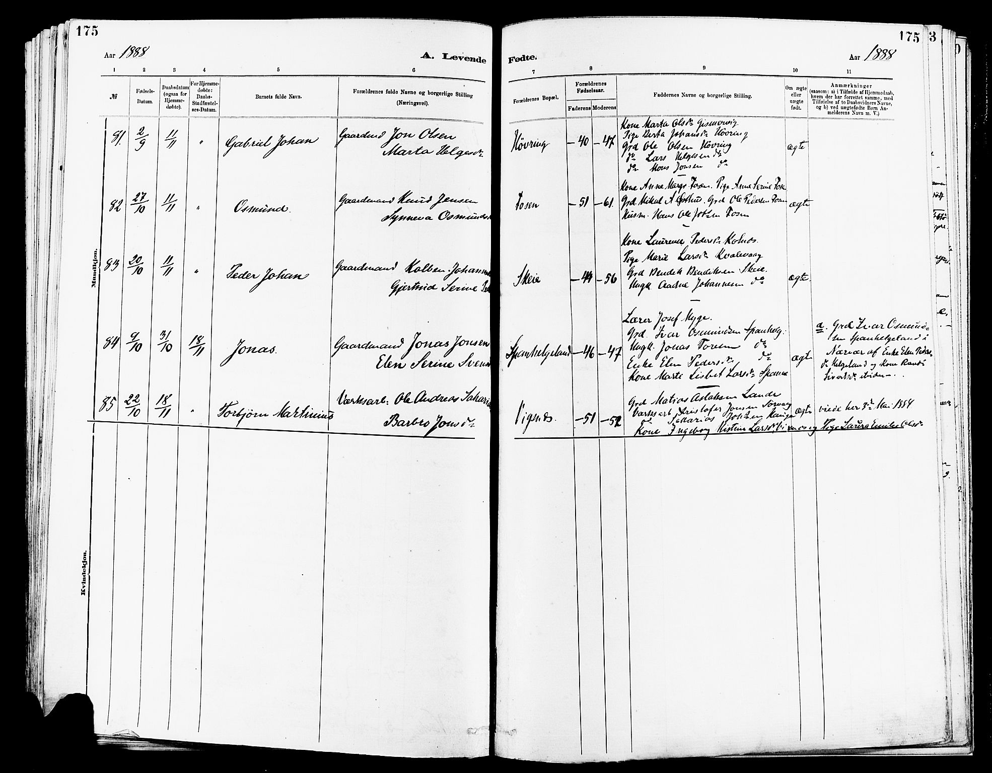 Avaldsnes sokneprestkontor, AV/SAST-A -101851/H/Ha/Haa/L0014: Parish register (official) no. A 14, 1880-1889, p. 175