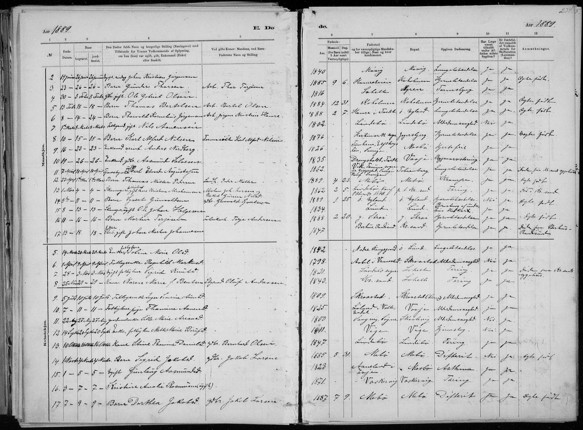 Oddernes sokneprestkontor, AV/SAK-1111-0033/F/Fa/Faa/L0009: Parish register (official) no. A 9, 1884-1896, p. 234