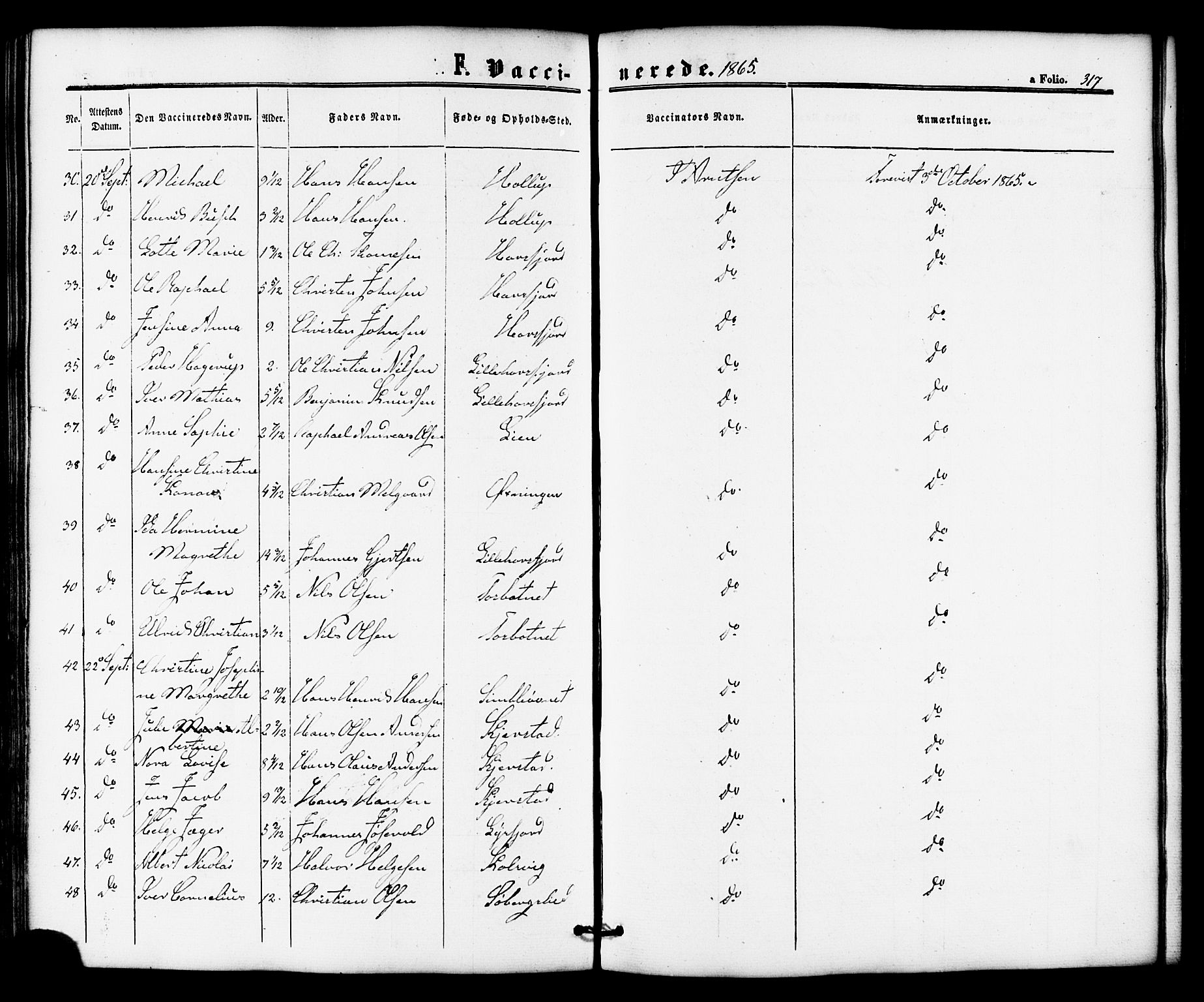 Ministerialprotokoller, klokkerbøker og fødselsregistre - Nordland, AV/SAT-A-1459/810/L0146: Parish register (official) no. 810A08 /1, 1862-1874, p. 317