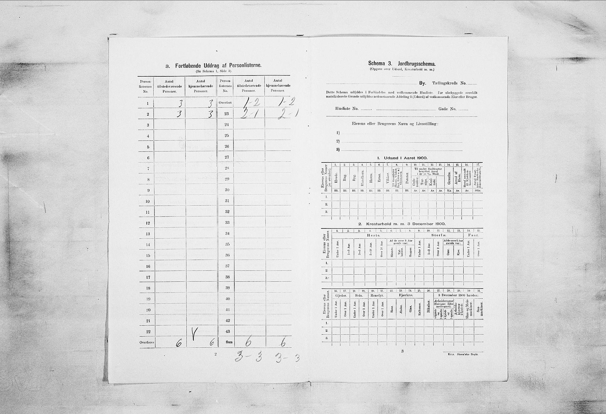 RA, 1900 census for Larvik, 1900, p. 1051