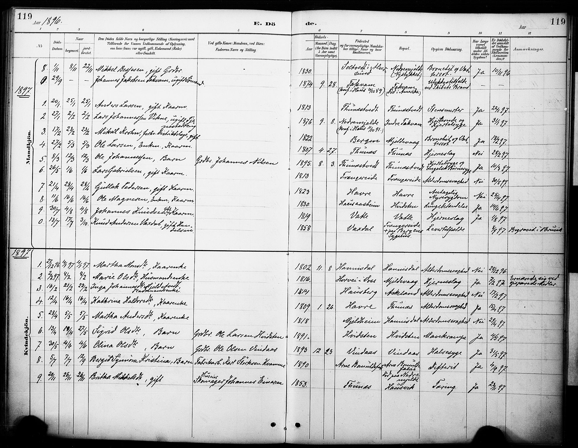Haus sokneprestembete, SAB/A-75601/H/Haa: Parish register (official) no. B 1, 1887-1898, p. 119