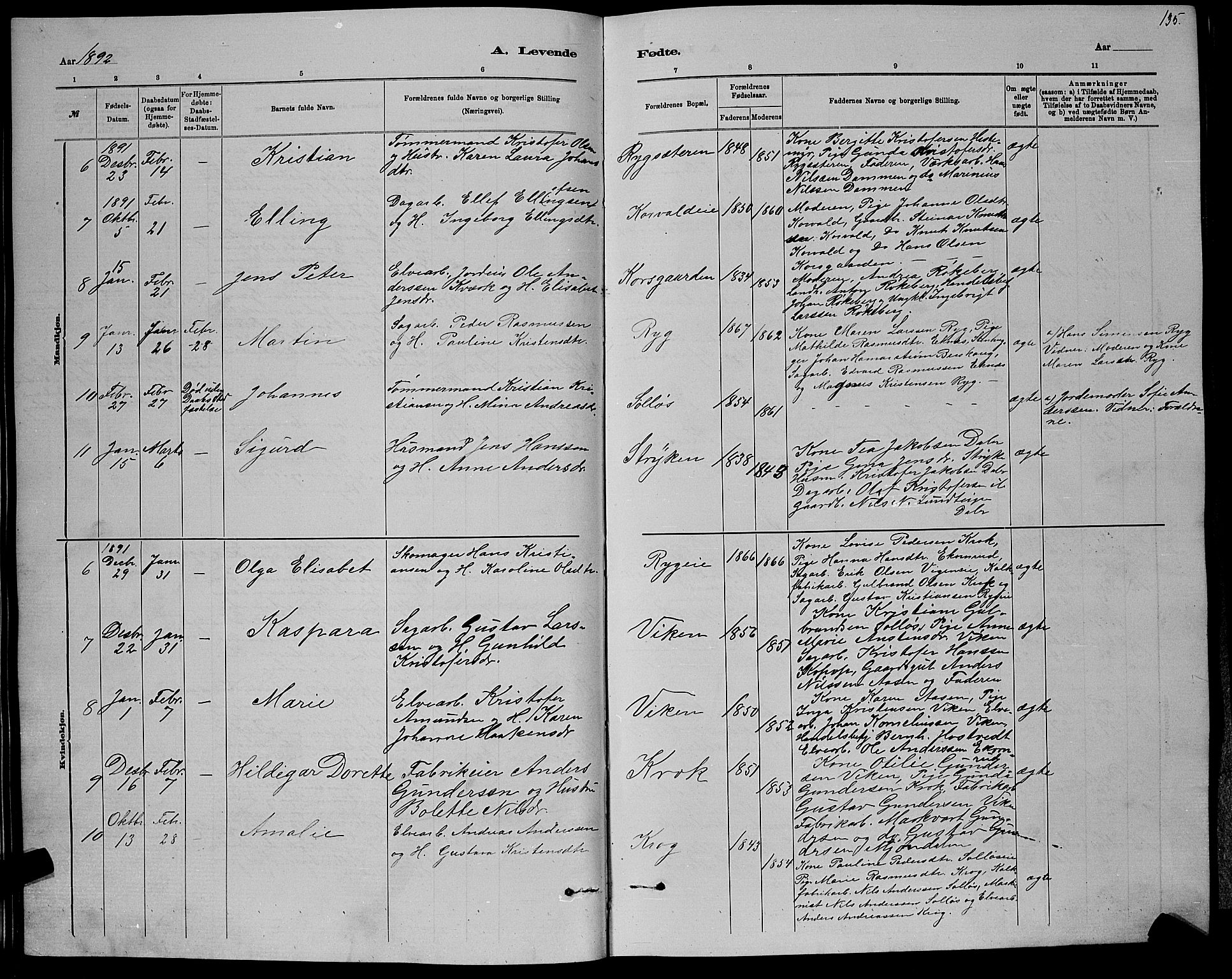 Nedre Eiker kirkebøker, AV/SAKO-A-612/G/Ga/L0002: Parish register (copy) no. 2, 1880-1896, p. 135