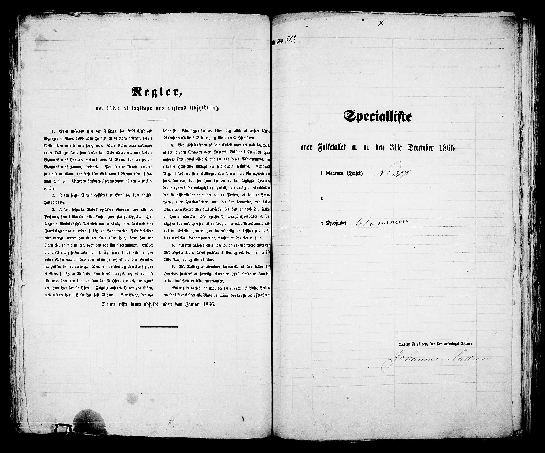 RA, 1865 census for Bragernes in Drammen, 1865, p. 1069