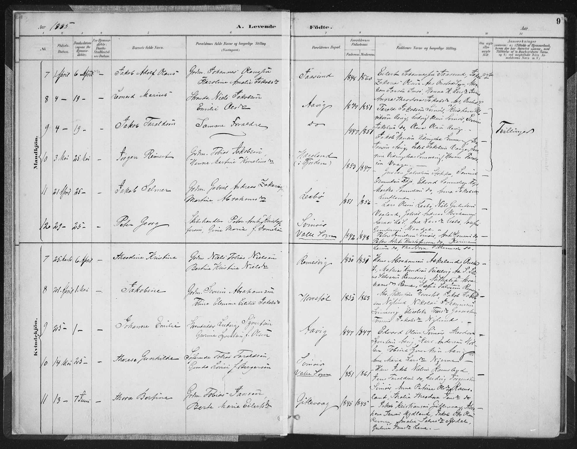 Sør-Audnedal sokneprestkontor, AV/SAK-1111-0039/F/Fa/Faa/L0004: Parish register (official) no. A 4, 1884-1909, p. 9