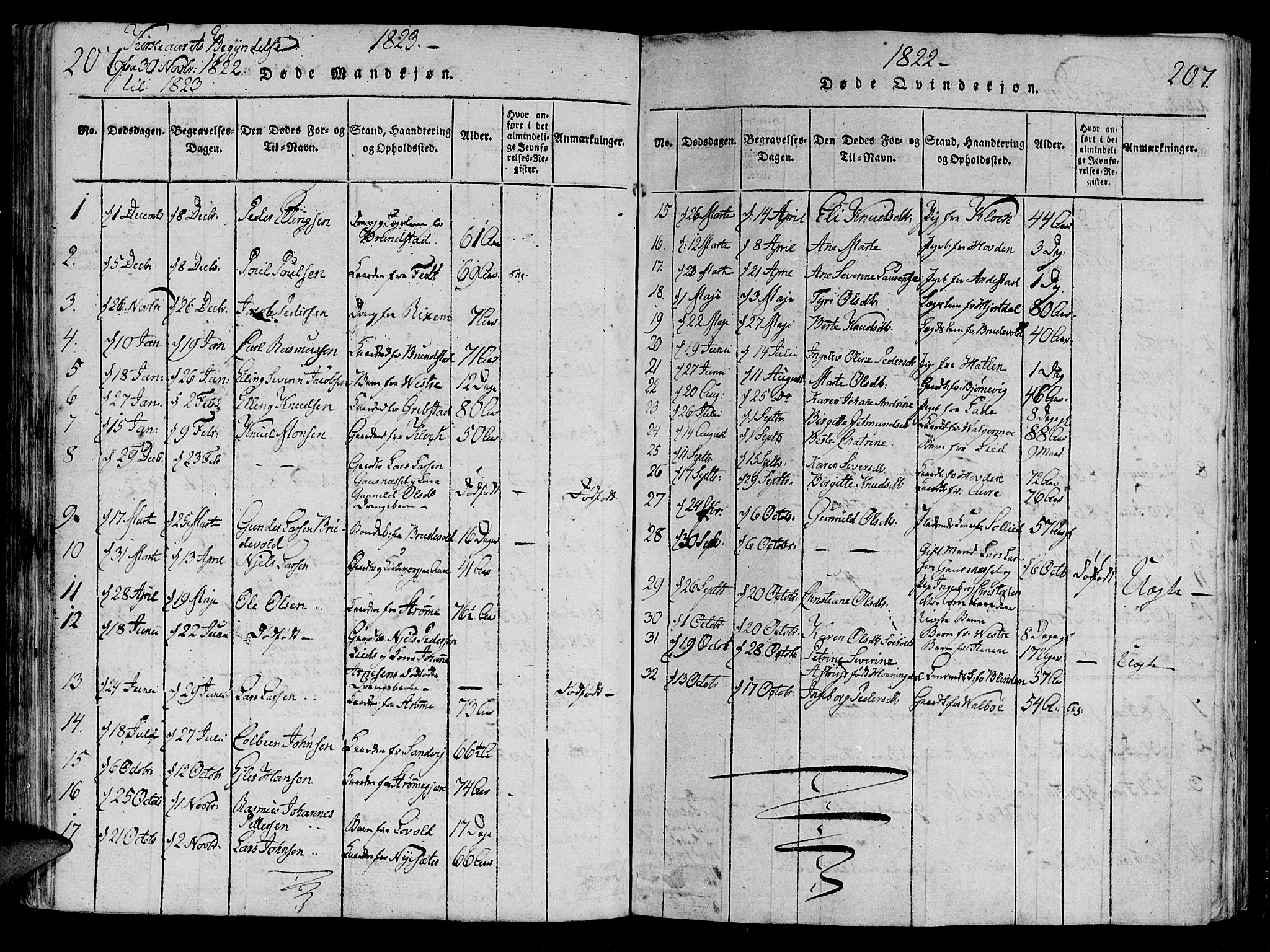 Ministerialprotokoller, klokkerbøker og fødselsregistre - Møre og Romsdal, SAT/A-1454/522/L0310: Parish register (official) no. 522A05, 1816-1832, p. 206-207