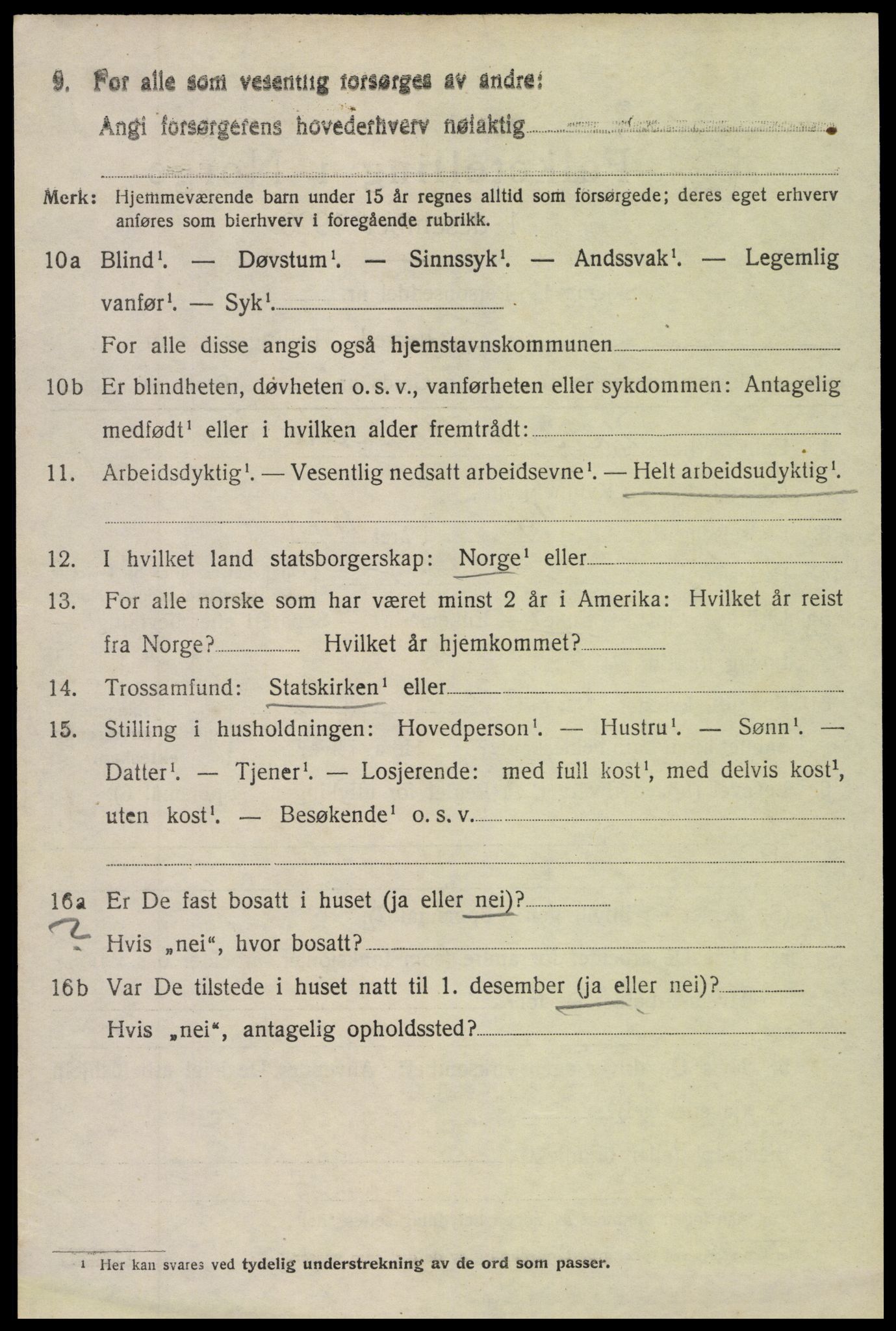 SAH, 1920 census for Vestre Slidre, 1920, p. 3251