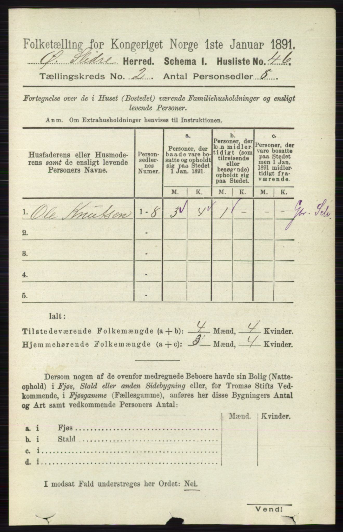 RA, 1891 census for 0544 Øystre Slidre, 1891, p. 266