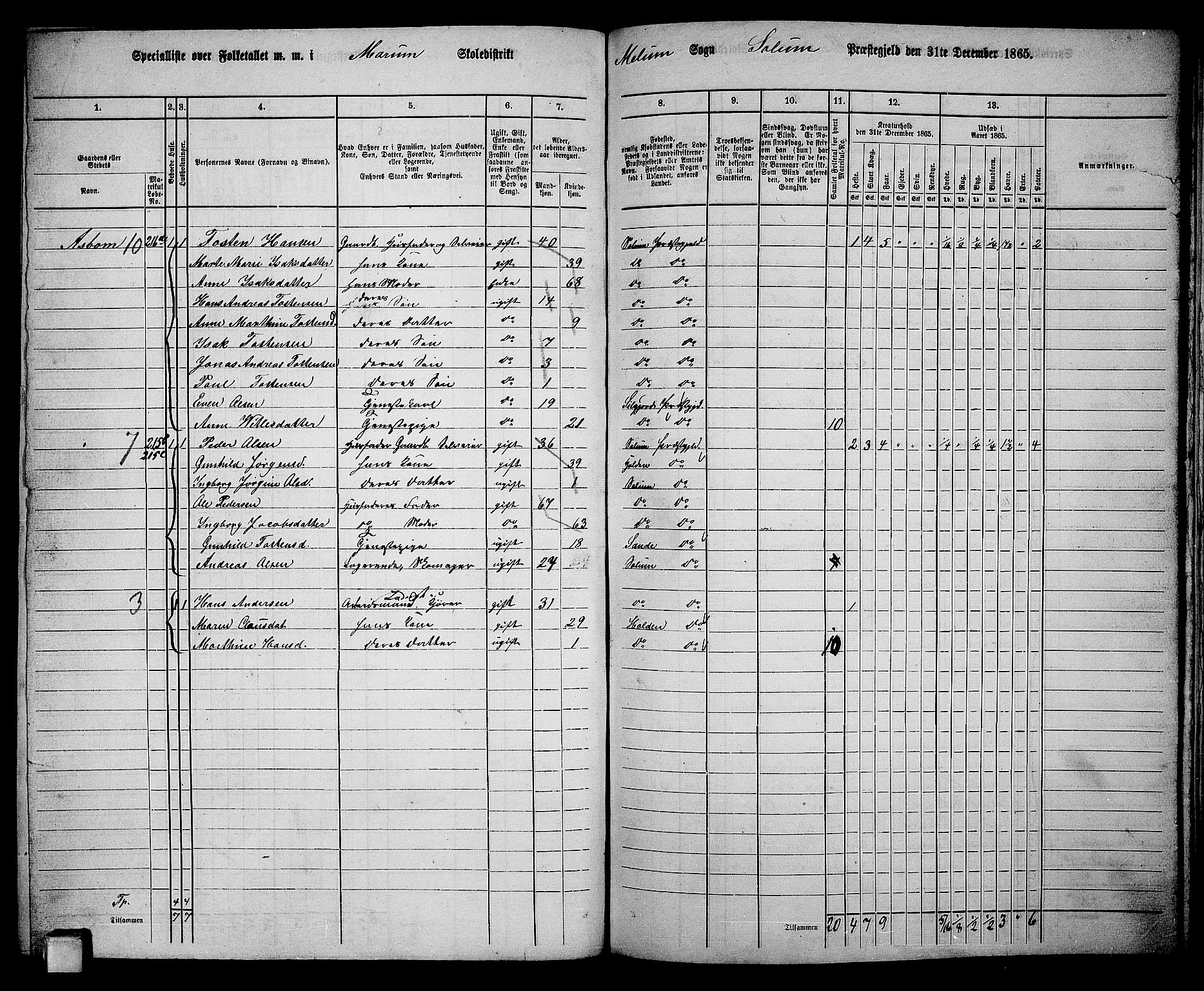 RA, 1865 census for Solum, 1865, p. 173