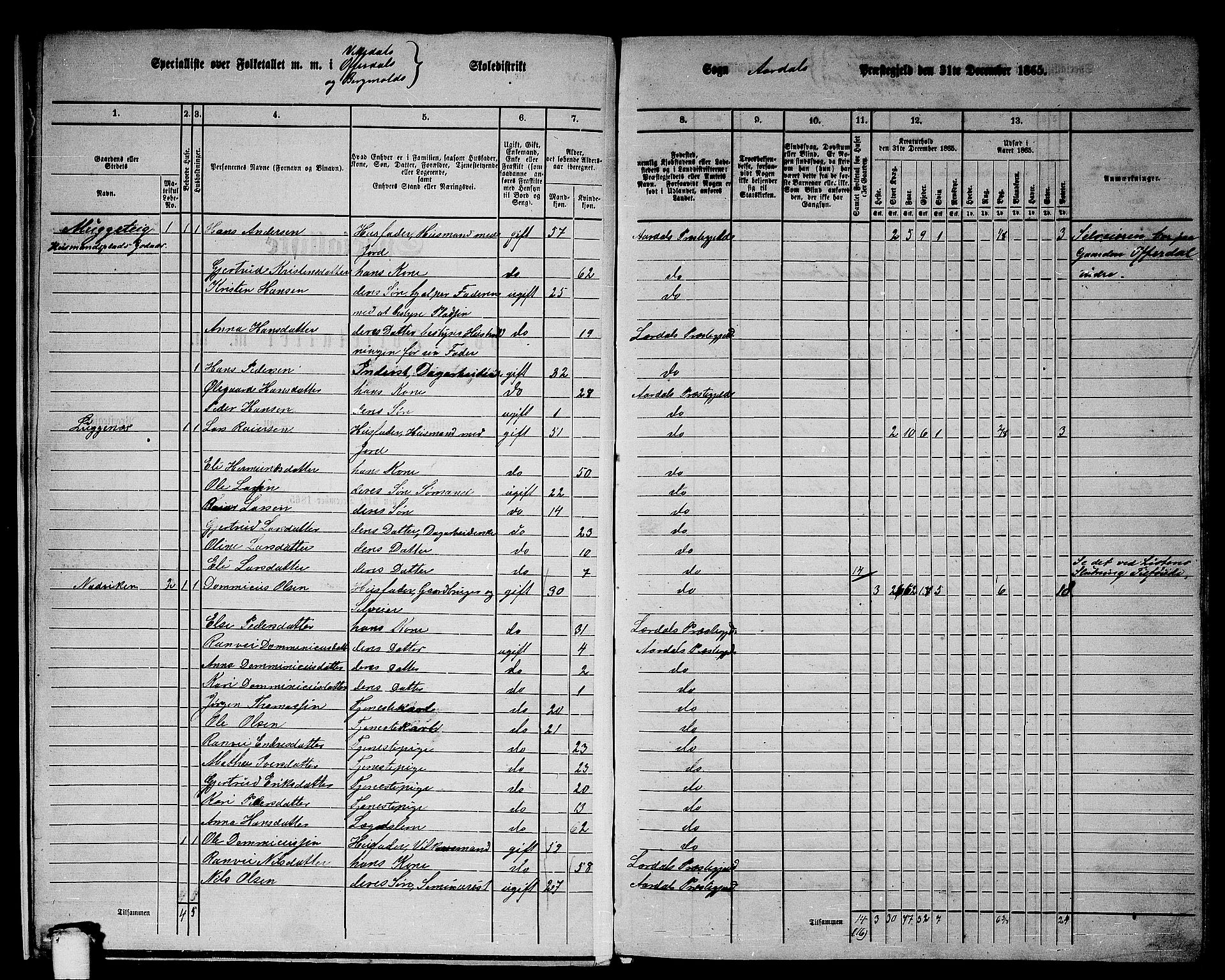 RA, 1865 census for Årdal, 1865, p. 9