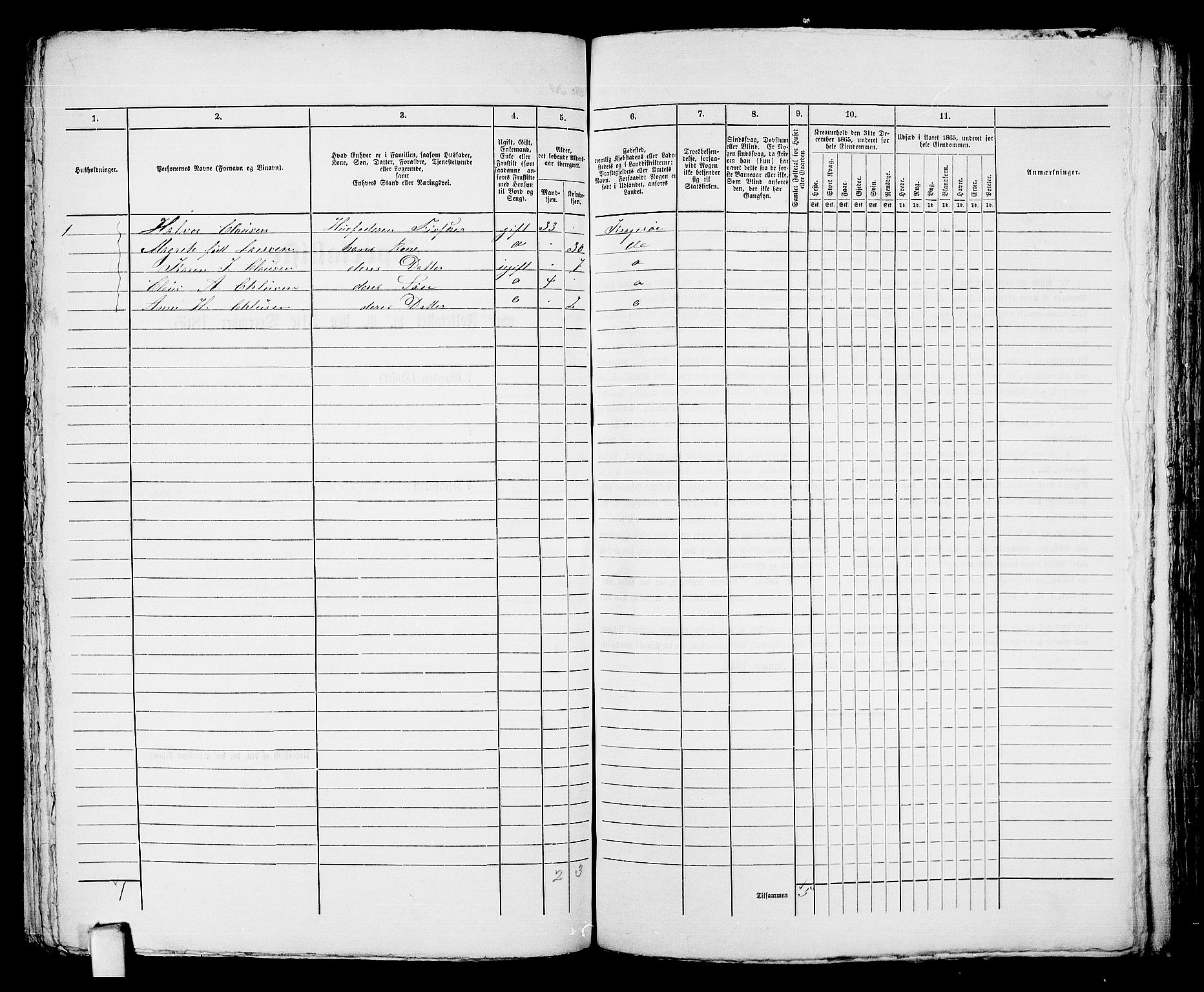 RA, 1865 census for Kragerø/Kragerø, 1865, p. 333