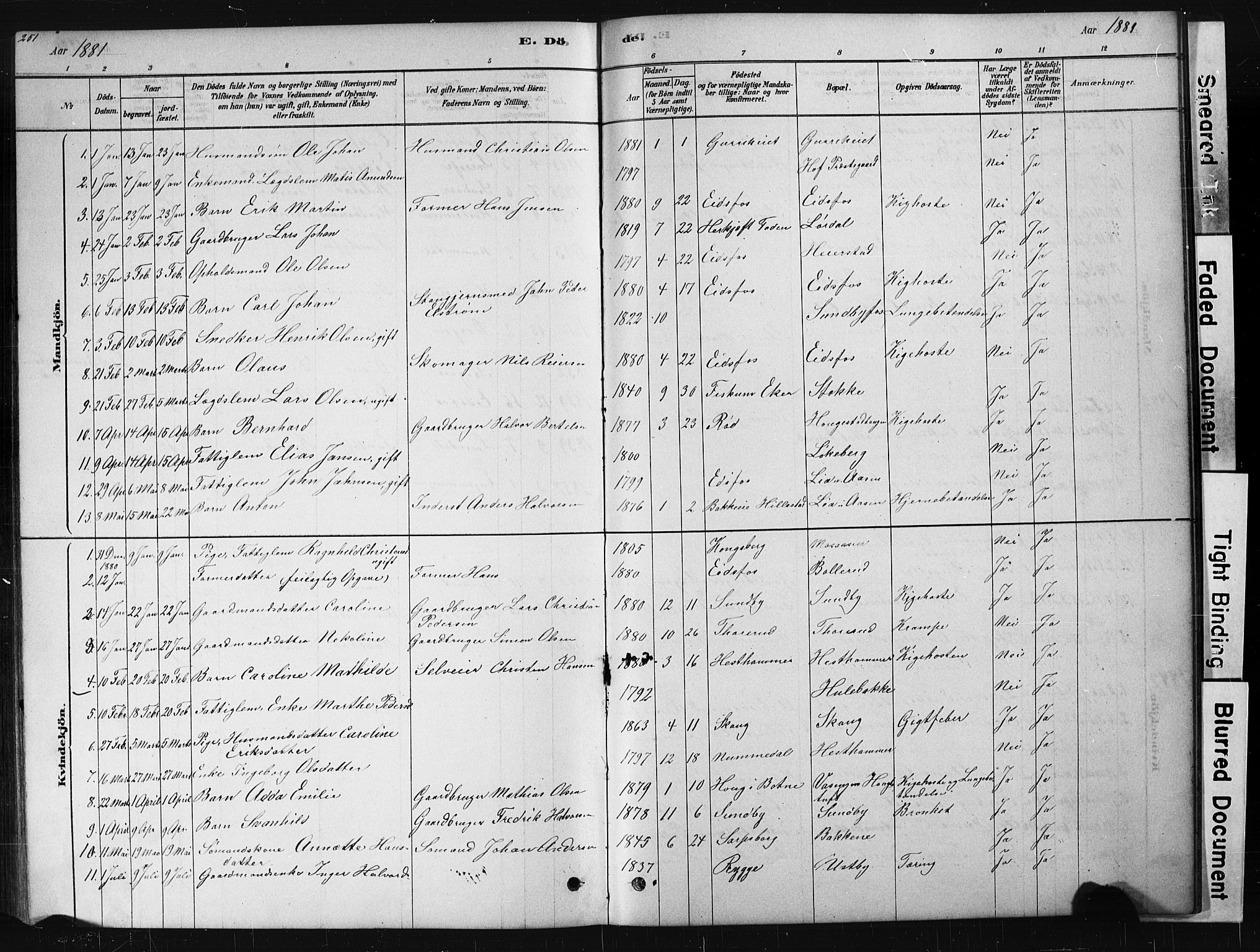 Hof kirkebøker, AV/SAKO-A-64/G/Ga/L0004: Parish register (copy) no. I 4, 1878-1930, p. 251