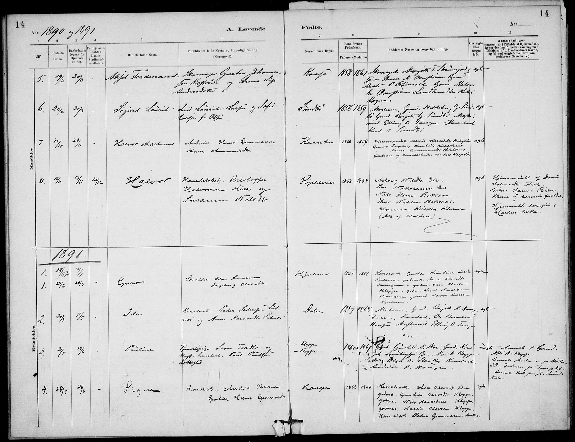 Lunde kirkebøker, SAKO/A-282/F/Fb/L0003: Parish register (official) no. II 3, 1882-1891, p. 14