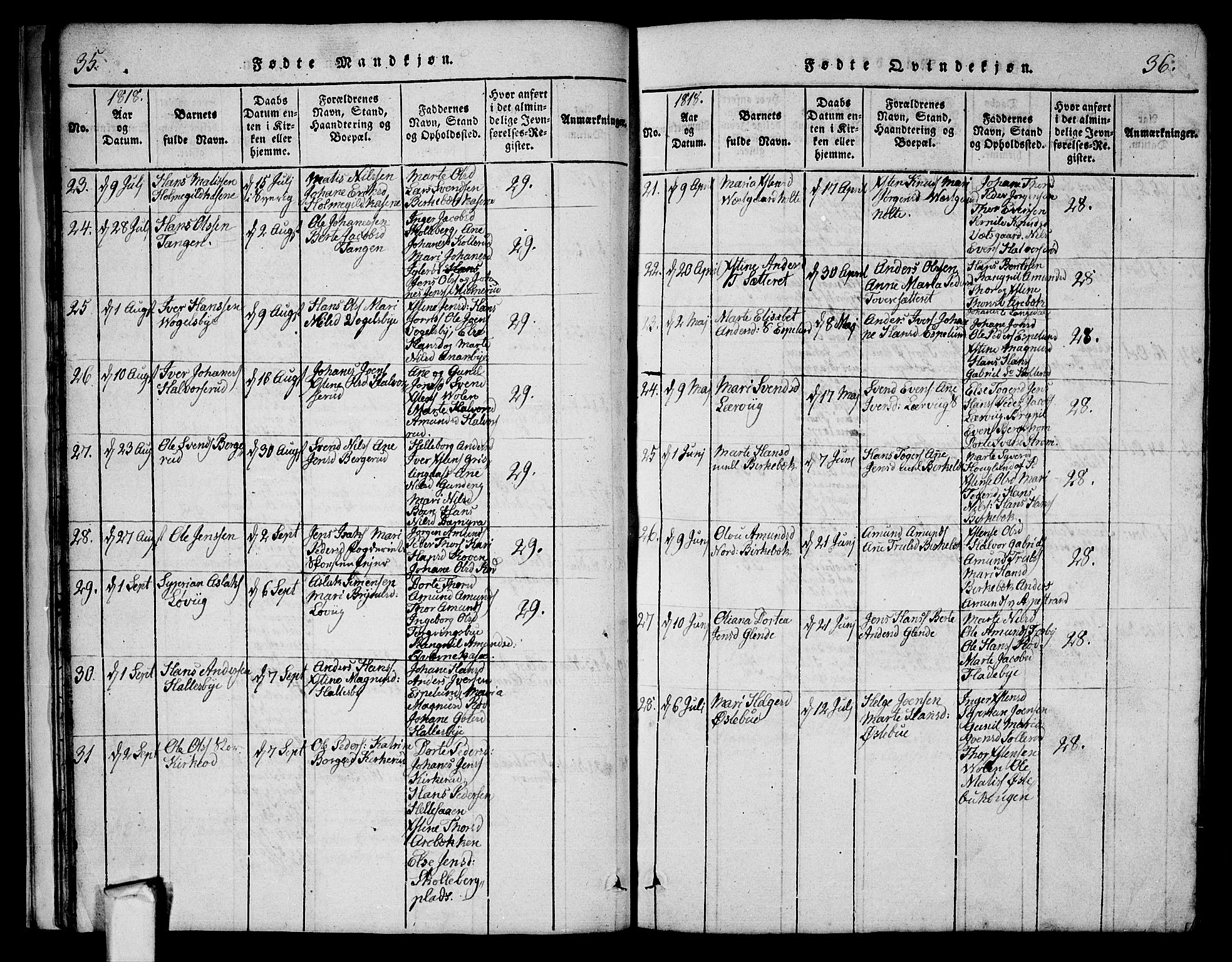 Aremark prestekontor Kirkebøker, AV/SAO-A-10899/G/Ga/L0001: Parish register (copy) no.  I 1, 1814-1834, p. 35-36