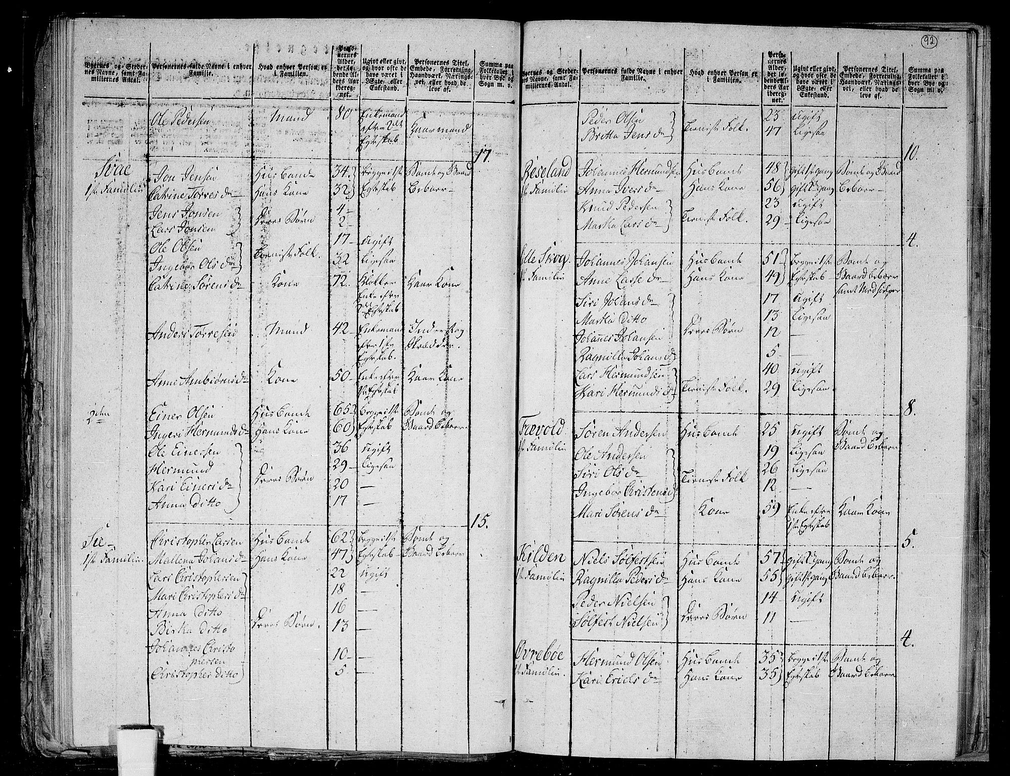 RA, 1801 census for 1425P Hafslo, 1801, p. 91b-92a