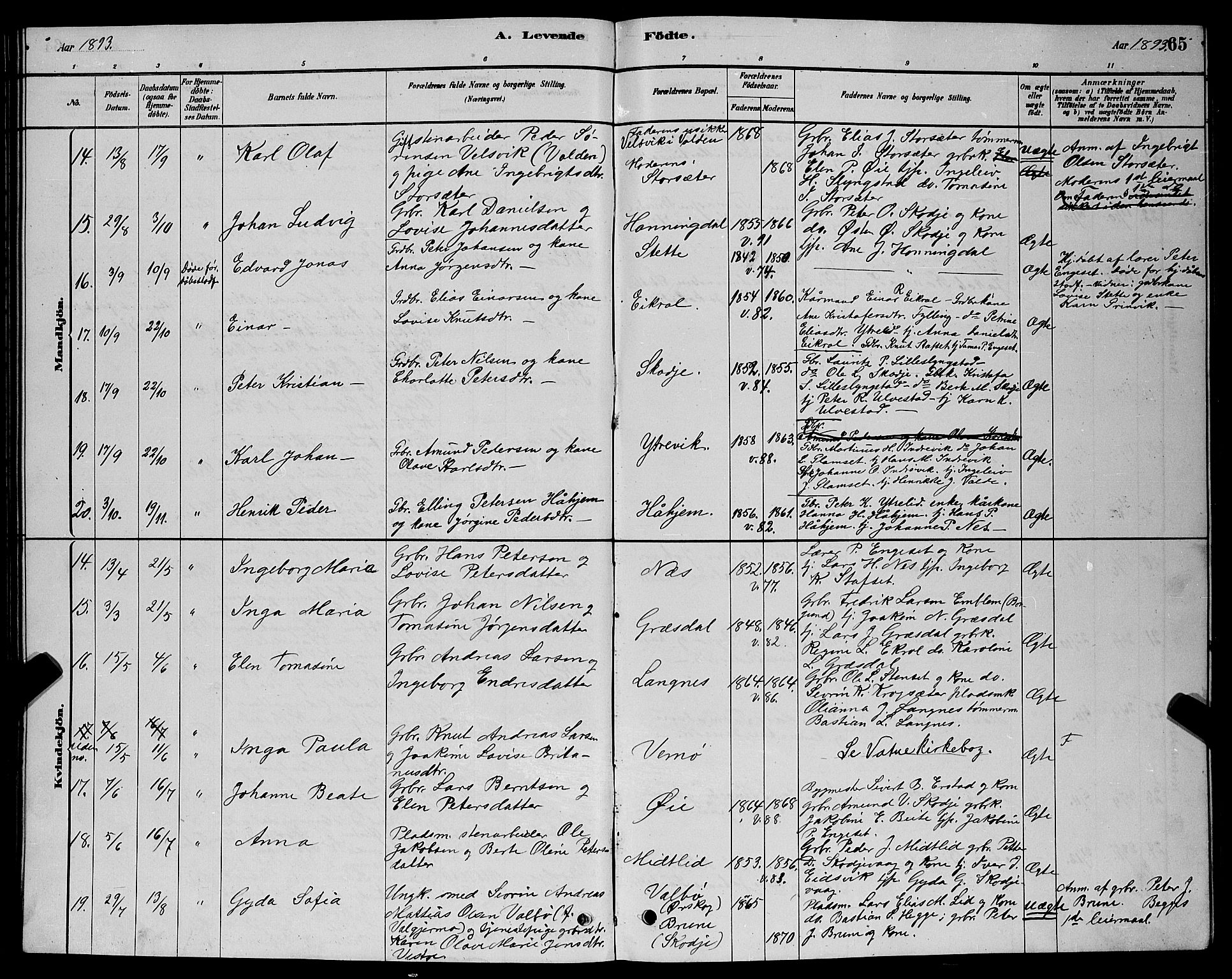 Ministerialprotokoller, klokkerbøker og fødselsregistre - Møre og Romsdal, AV/SAT-A-1454/524/L0365: Parish register (copy) no. 524C06, 1880-1899, p. 65