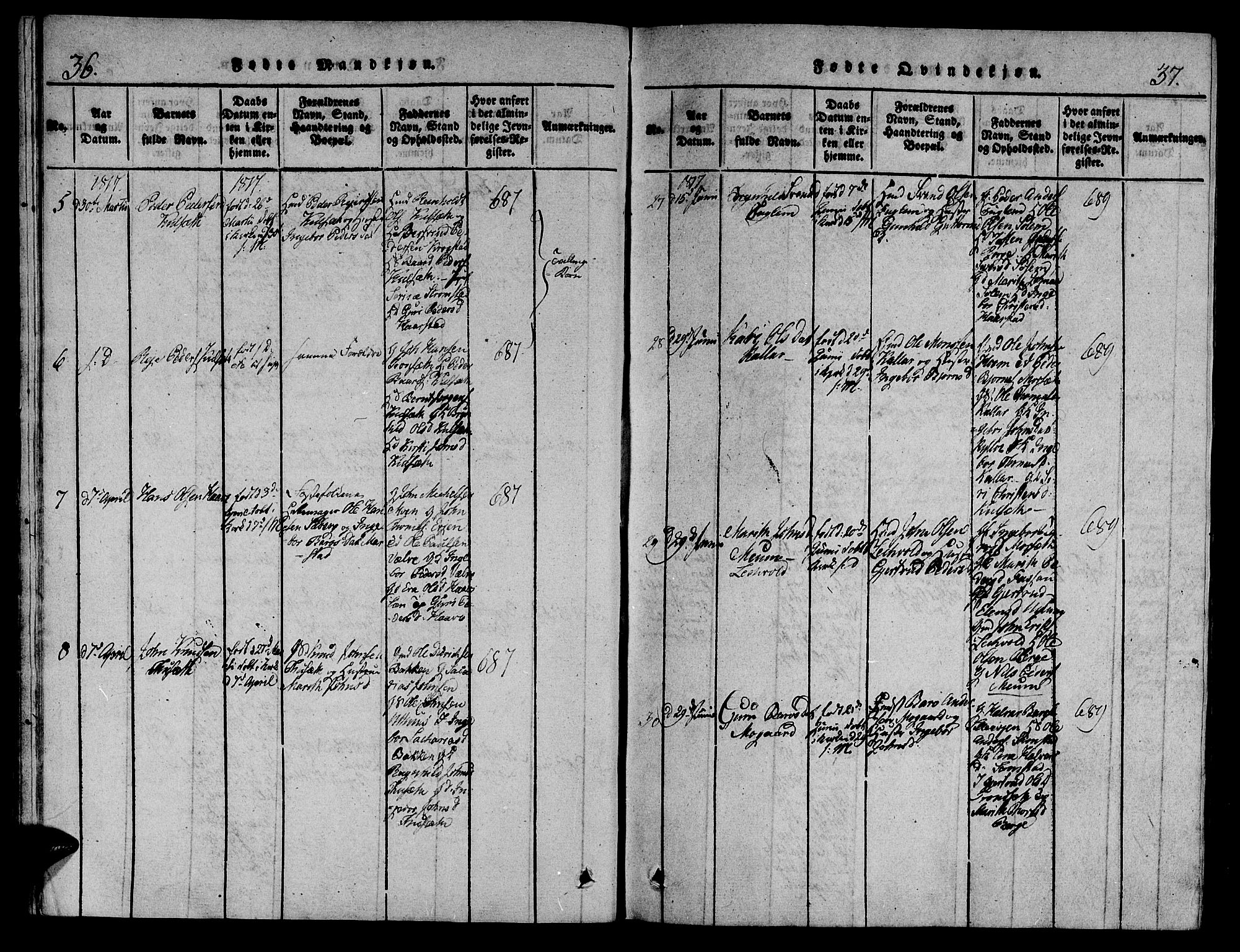 Ministerialprotokoller, klokkerbøker og fødselsregistre - Sør-Trøndelag, SAT/A-1456/695/L1141: Parish register (official) no. 695A04 /1, 1816-1824, p. 36-37
