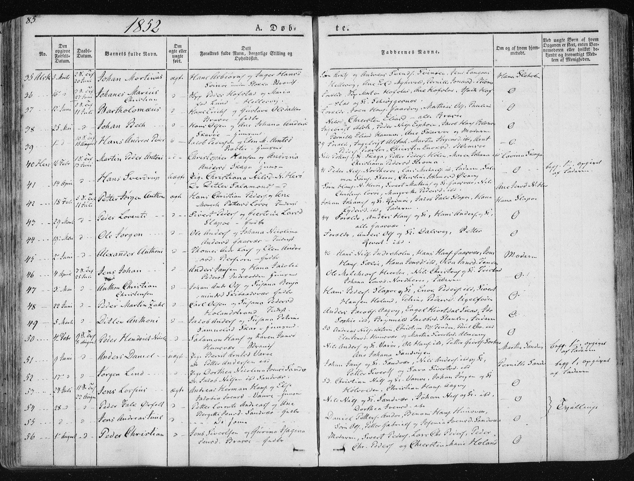 Ministerialprotokoller, klokkerbøker og fødselsregistre - Nordland, AV/SAT-A-1459/830/L0446: Parish register (official) no. 830A10, 1831-1865, p. 85