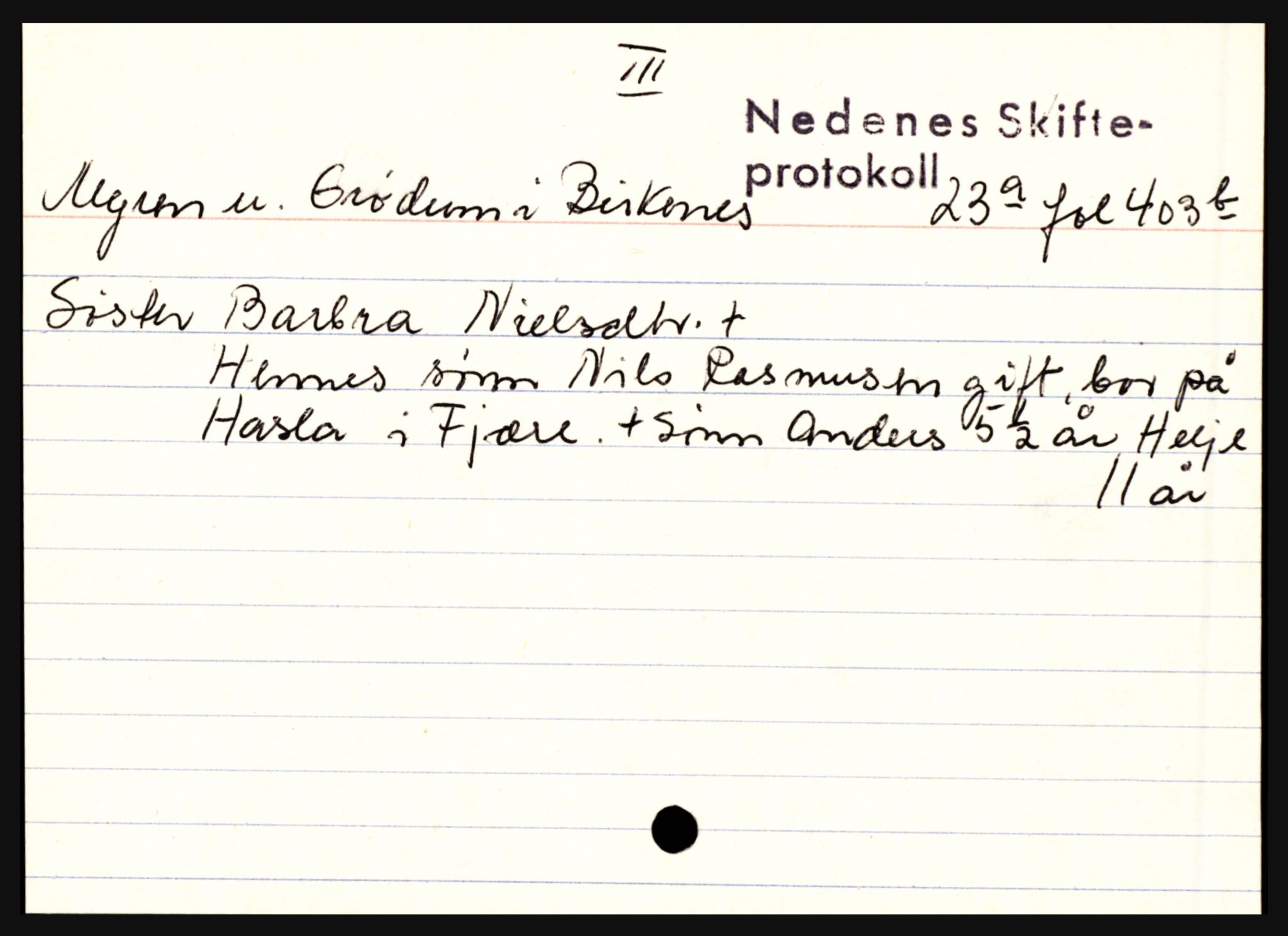 Nedenes sorenskriveri før 1824, AV/SAK-1221-0007/H, p. 20575