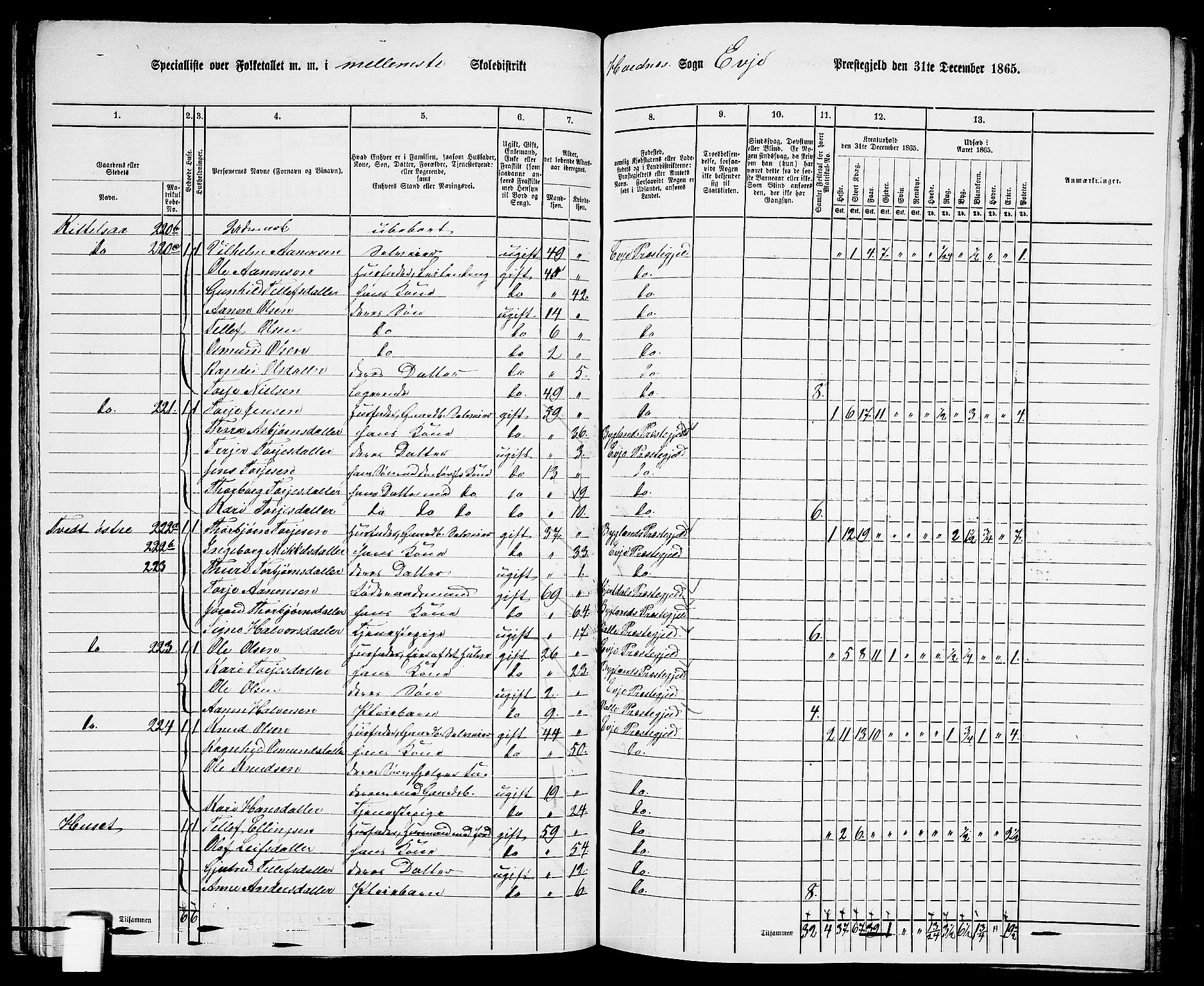 RA, 1865 census for Evje, 1865, p. 100