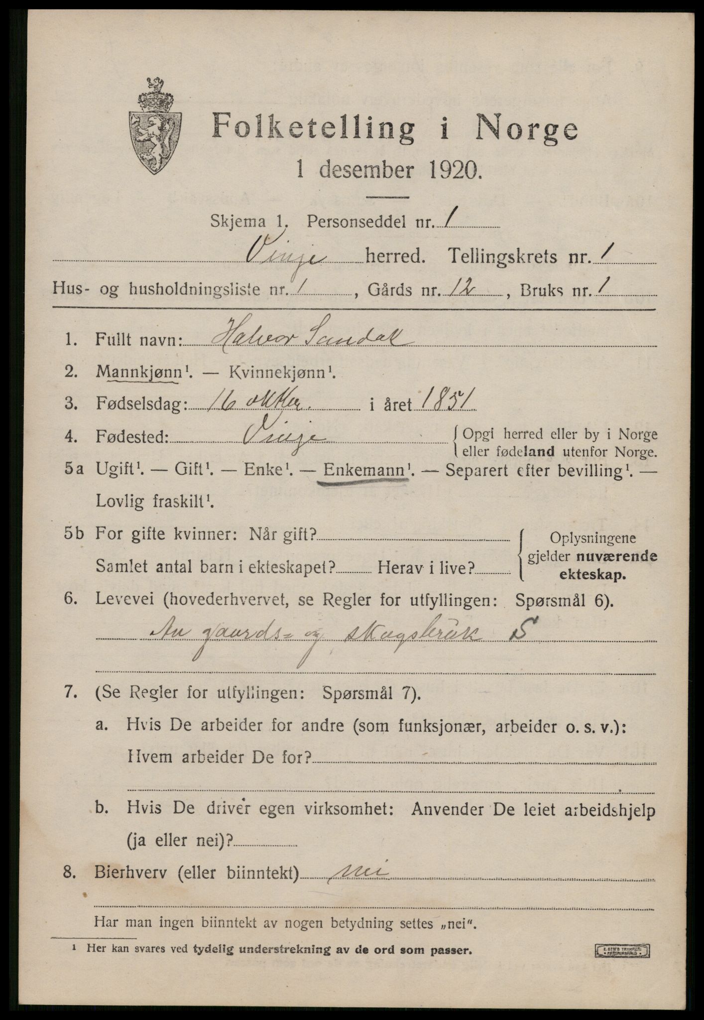 SAKO, 1920 census for Vinje, 1920, p. 705