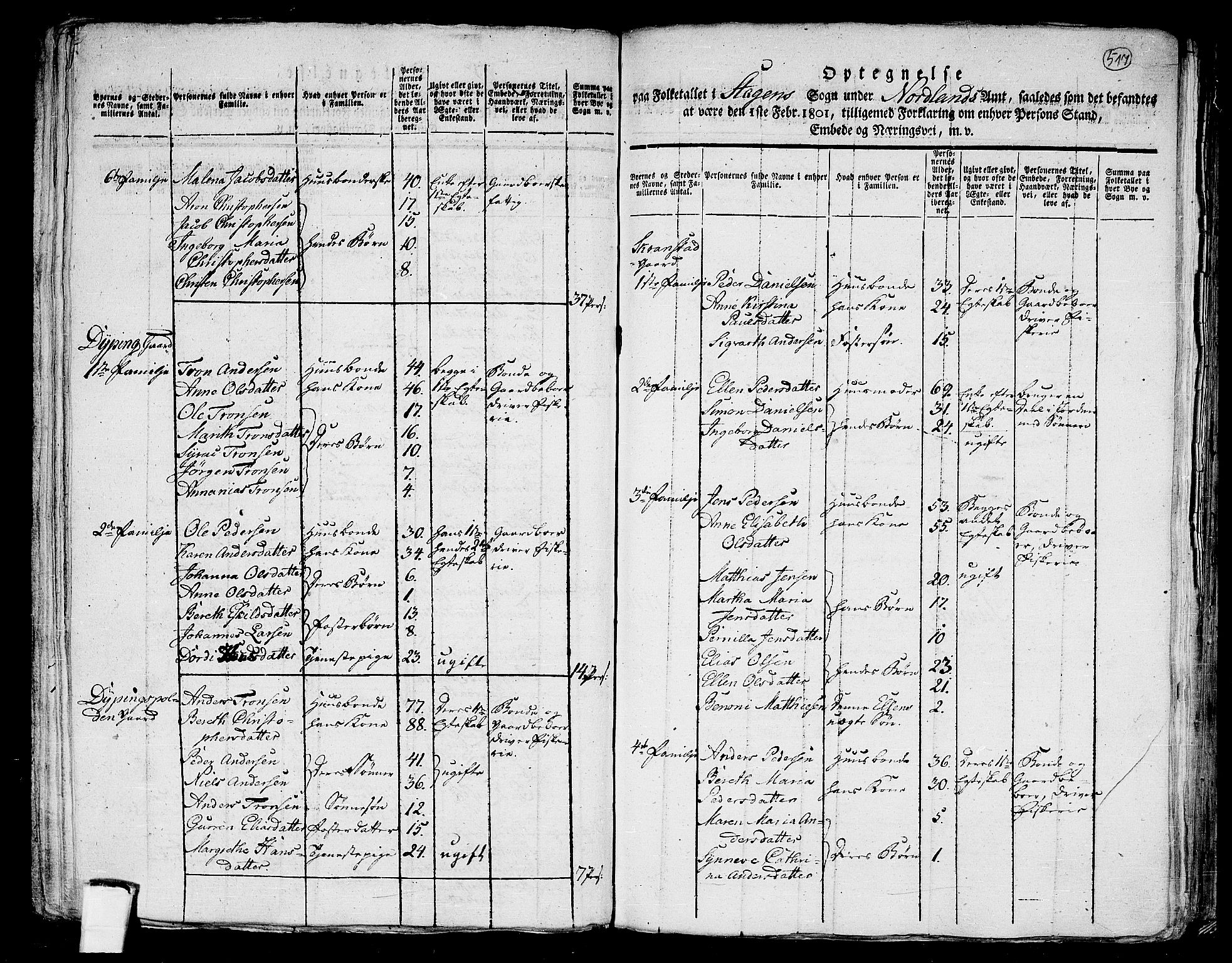 RA, 1801 census for 1848P Steigen, 1801, p. 516b-517a